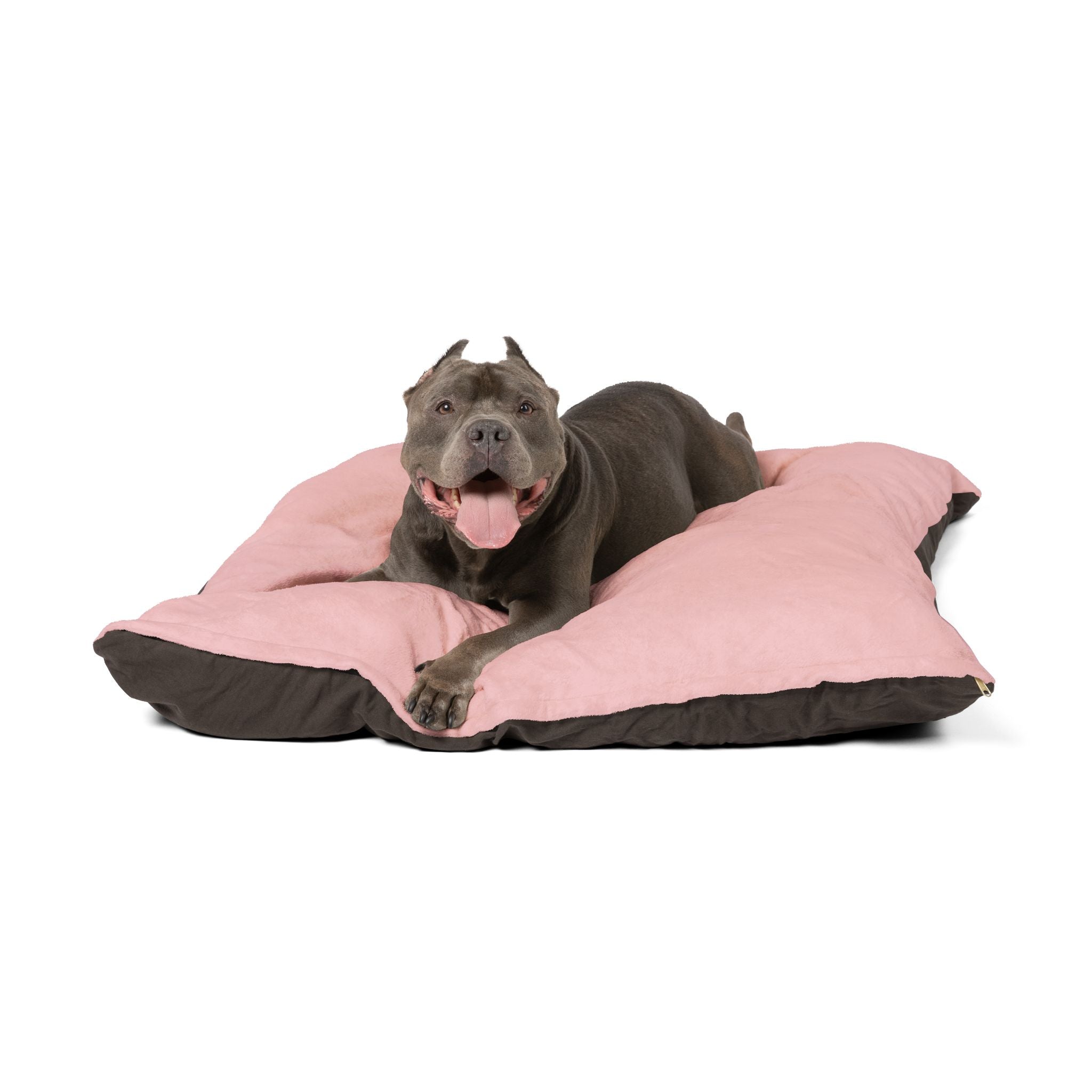 Pet Beds for Cats and Dogs