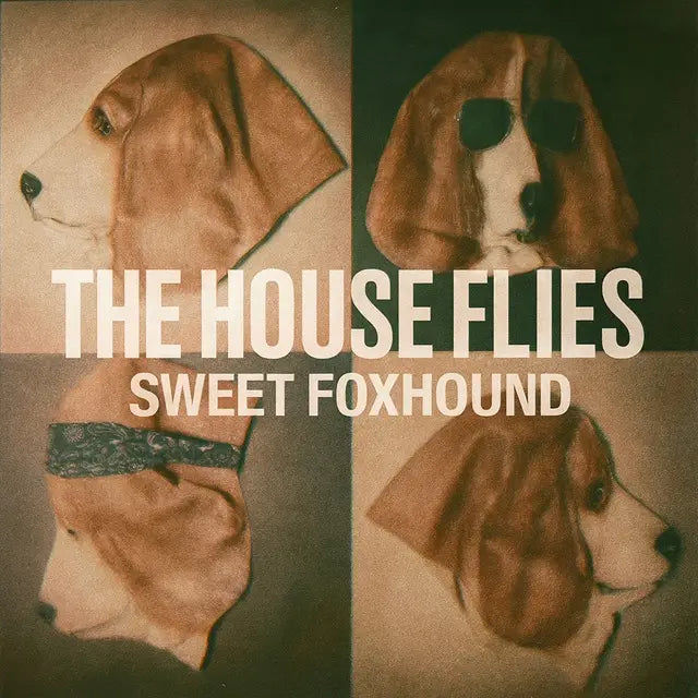 The House Flies – “Sweet Foxhound”