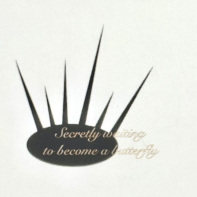 hanl – ‘Secretly Waiting to Become a Butterfly’