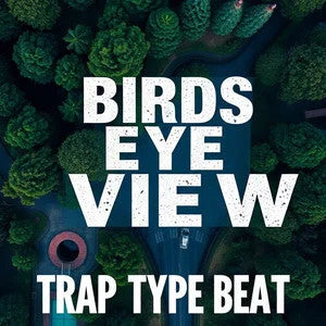 Buy The Best album cover trap type beat By Artsulli x Color Printify - Birds Eye View Trap Type Beat - 2025