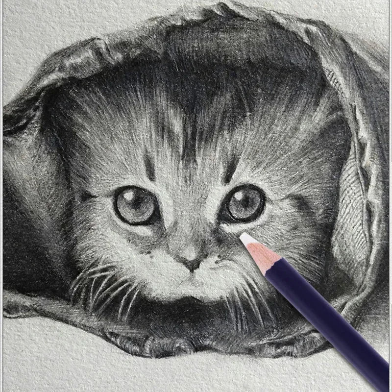 Buy The Best By Artsulli - Art is Long Life Short - 1/3/6pcs Creative Rubber Pen Pencil Eraser for Drawing Manga High Precision Shape