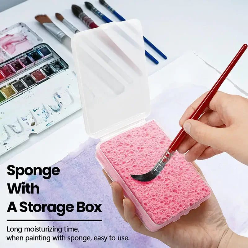 Buy The Best By Artsulli - Art is Long Life Short - 1 Pc Box Watercolor Painting Sponge Super Absorbent Supplies Brush Cleaning - 2026