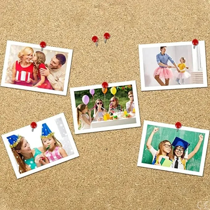 Buy The Best By Artsulli - Art is Long Life Short - 300Pcs/Box Push Pin Home Office School Notice Board Drawing Paper Photo Wall Studs