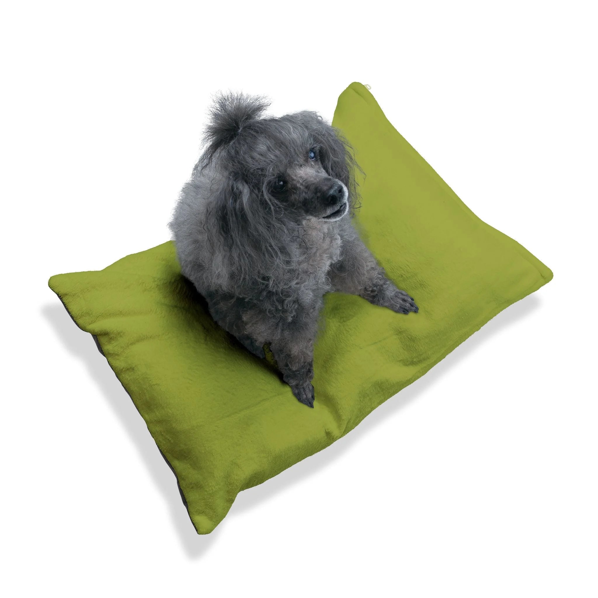 Buy The Best By Artsulli x Color Printify - Pet Bed - 2025