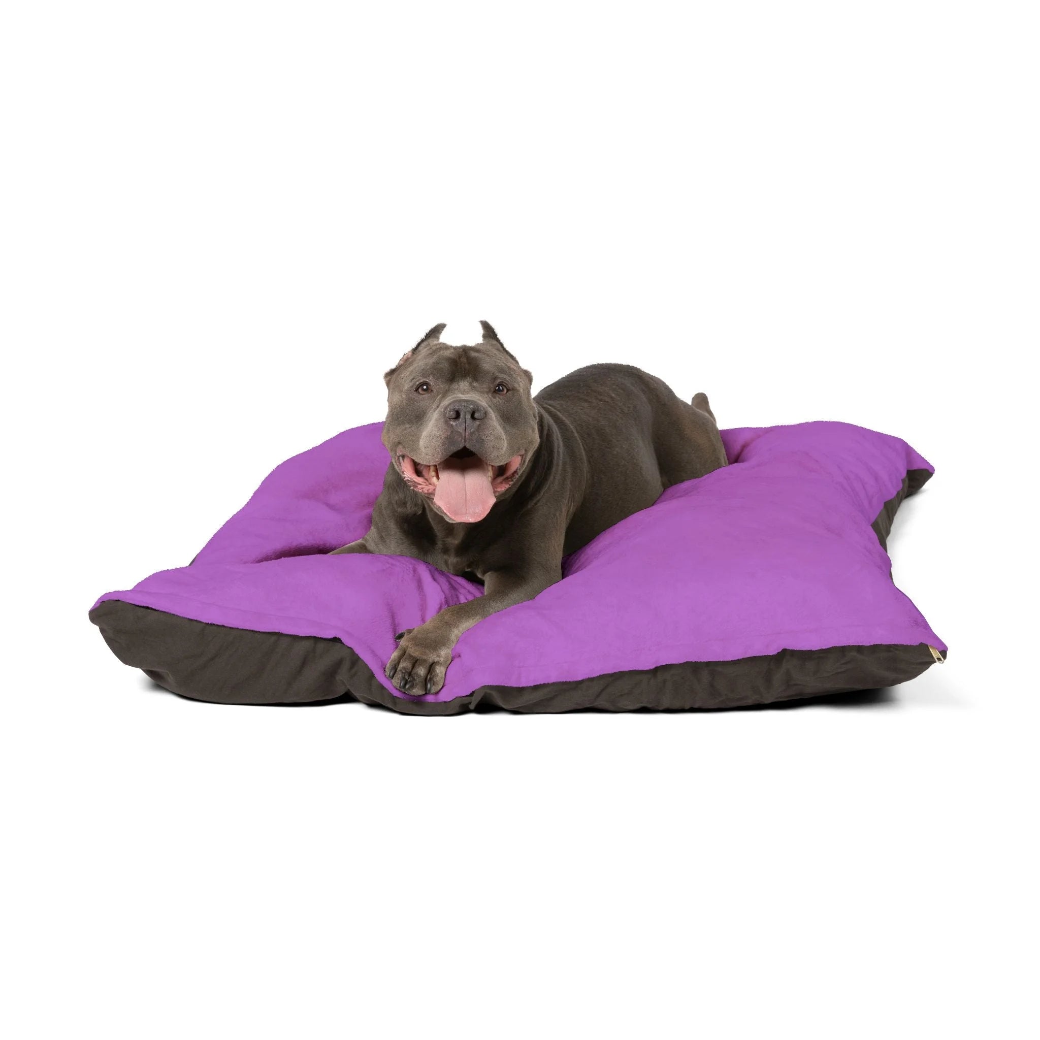Buy The Best By Artsulli x Color Printify - Pet Bed - 2025