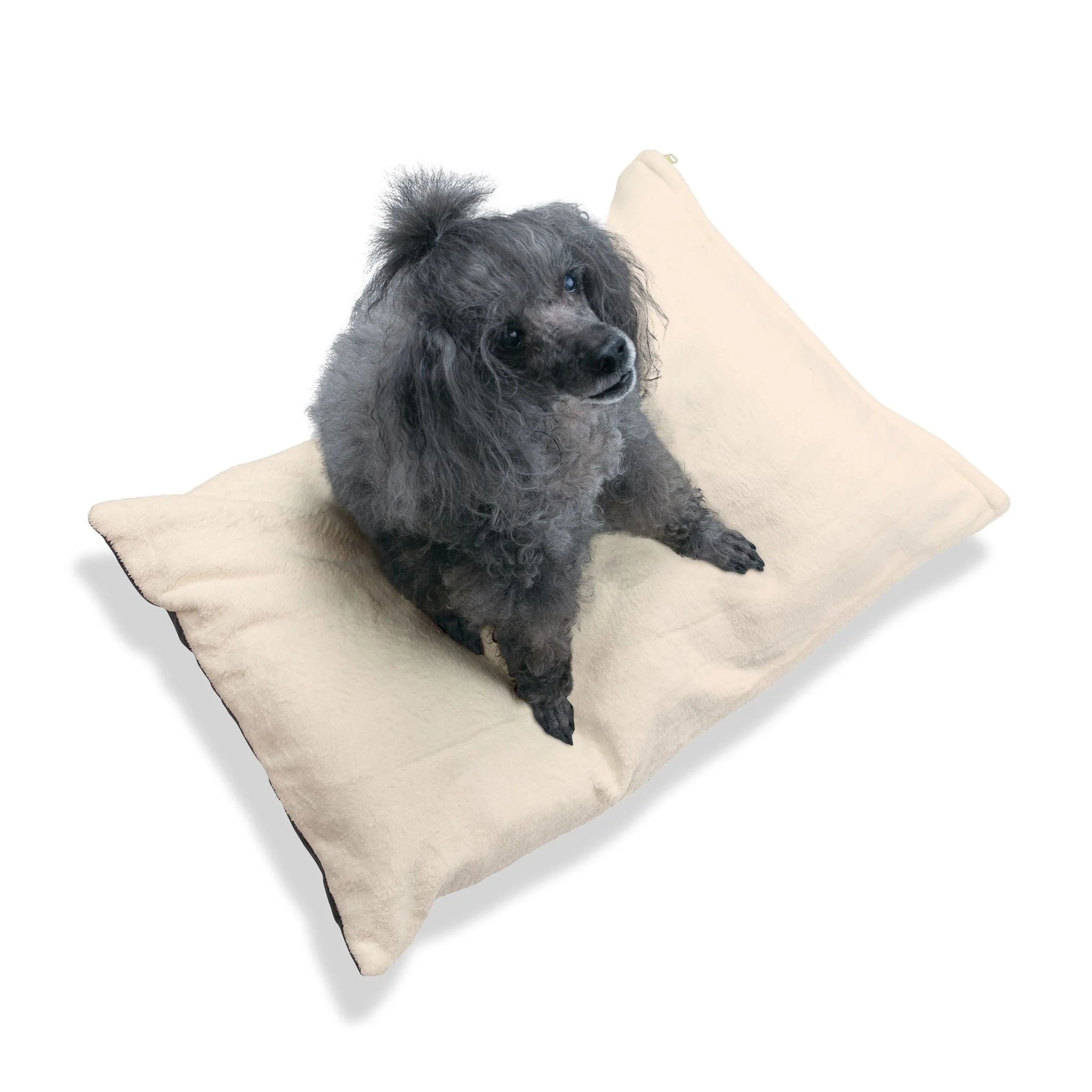 Buy The Best By Artsulli x Color Printify - Pet Bed - 2025