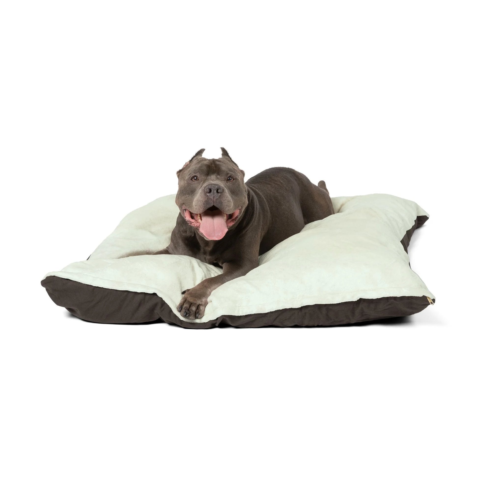 Buy The Best By Artsulli x Color Printify - Pet Bed - 2025