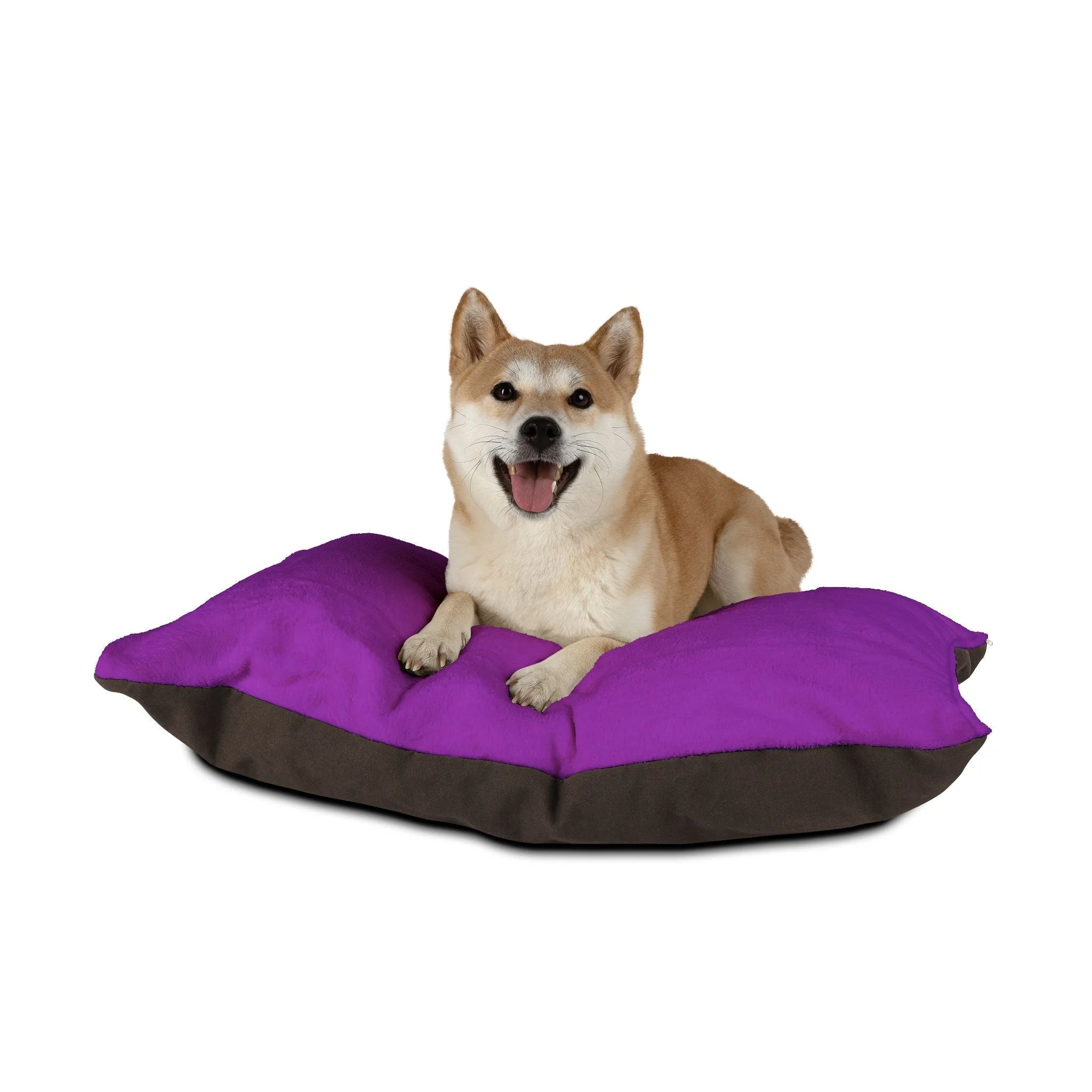 Buy The Best By Artsulli x Color Printify - Pet Bed - 2025