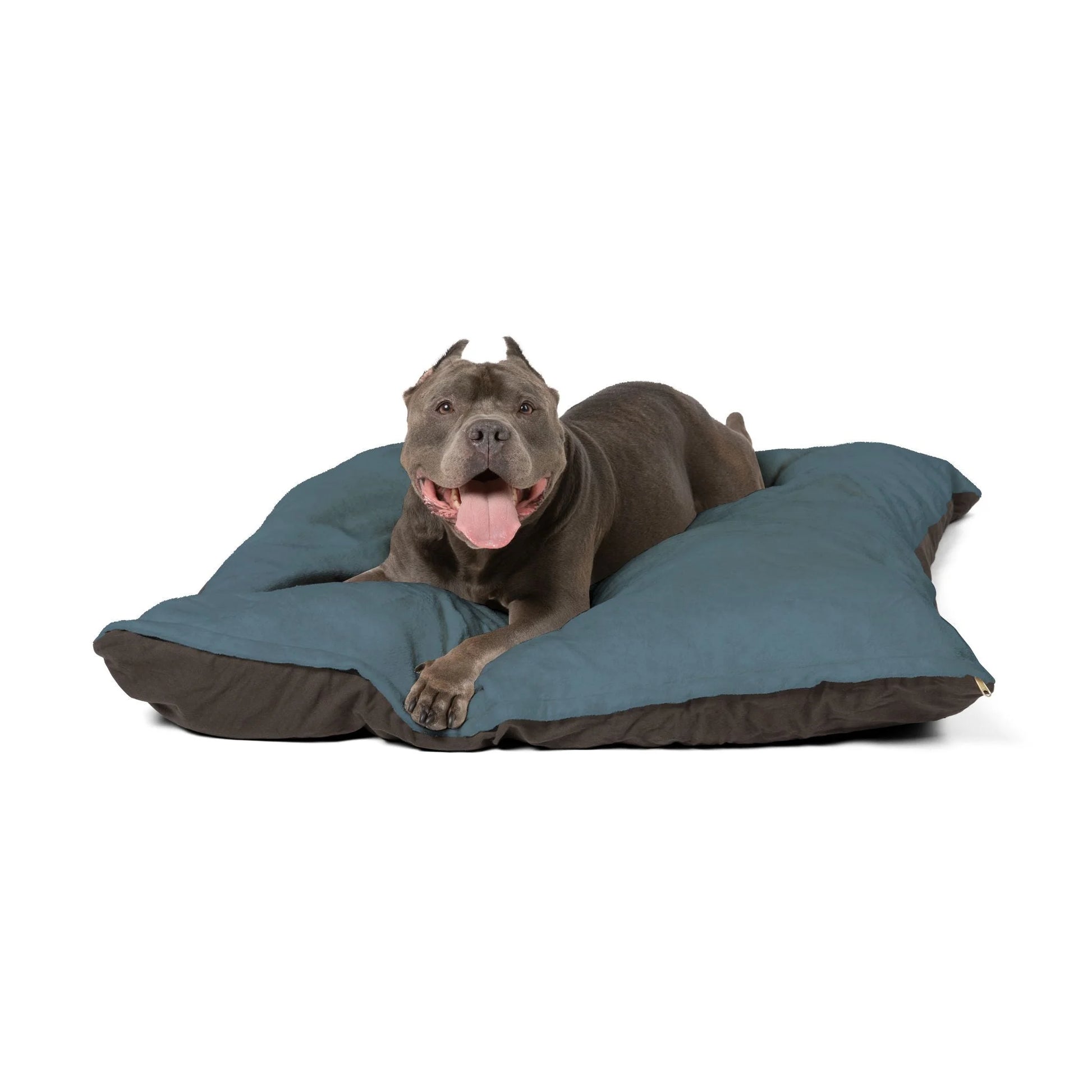 Buy The Best By Artsulli x Color Printify - Pet Bed - 2025
