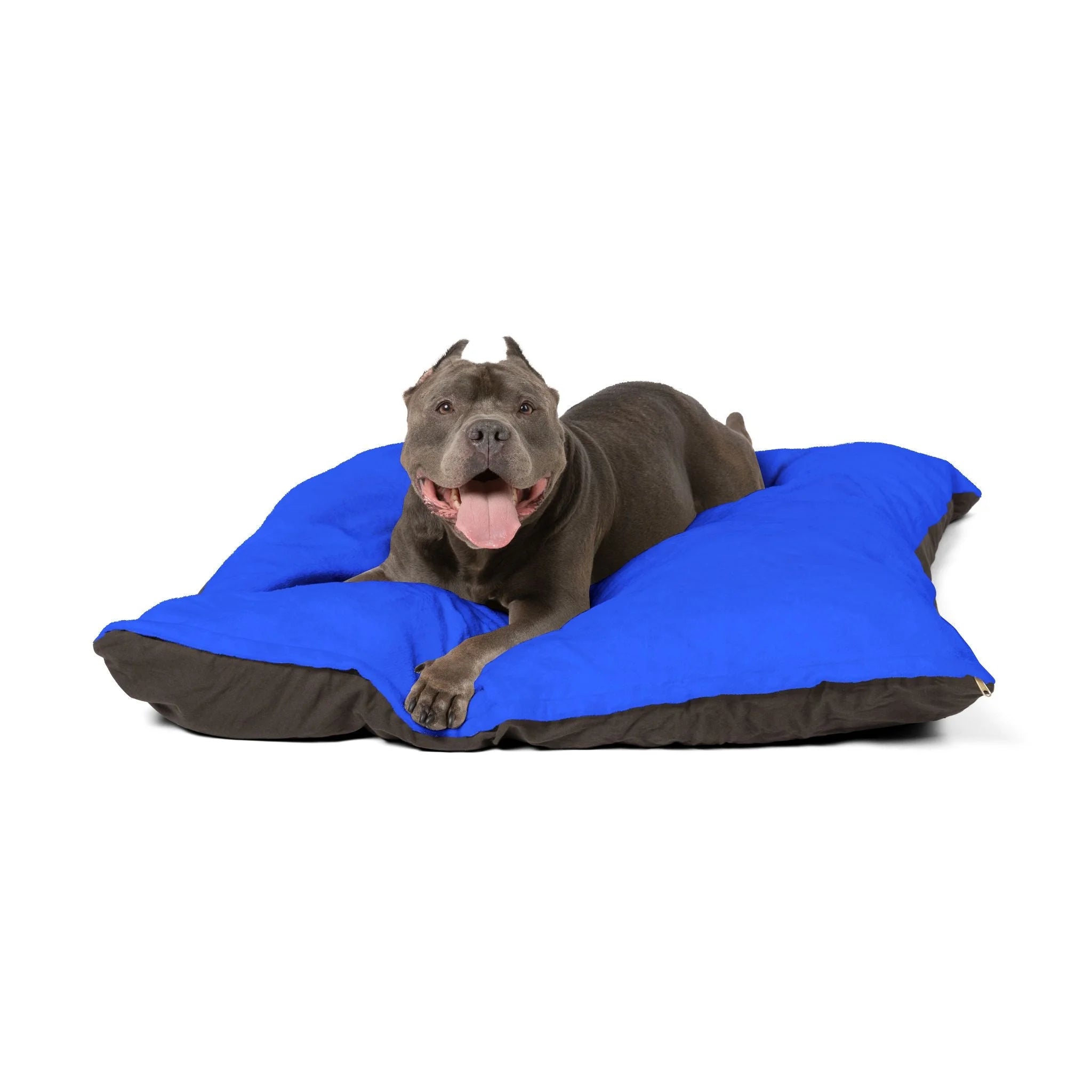 Buy The Best By Artsulli x Color Printify - Pet Bed - 2025