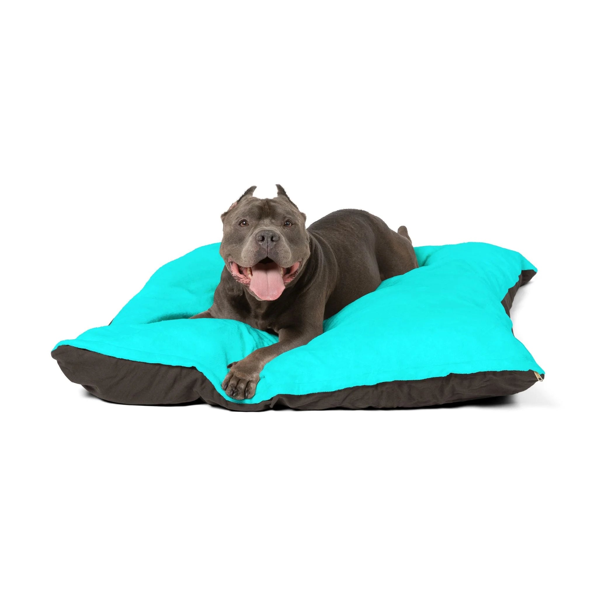 Buy The Best By Artsulli x Color Printify - Pet Bed - 2025