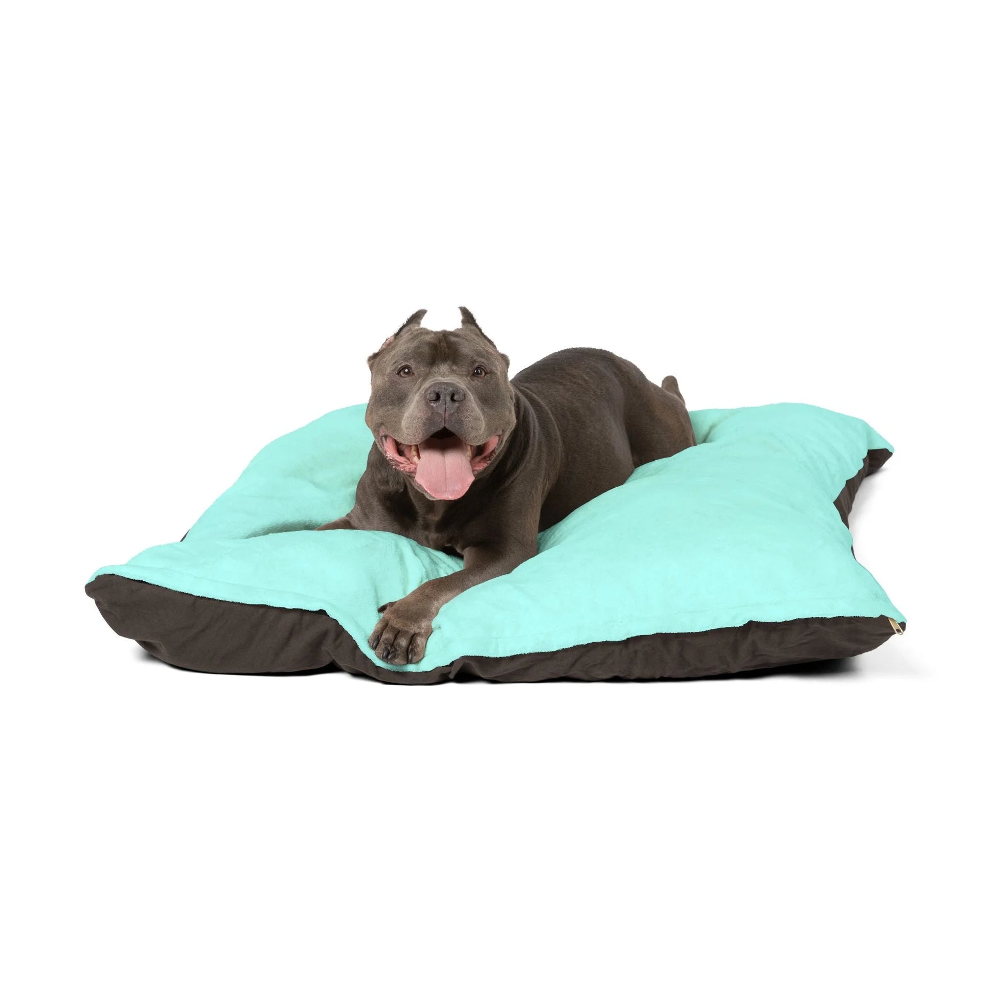 Buy The Best By Artsulli x Color Printify - Pet Bed - 2025