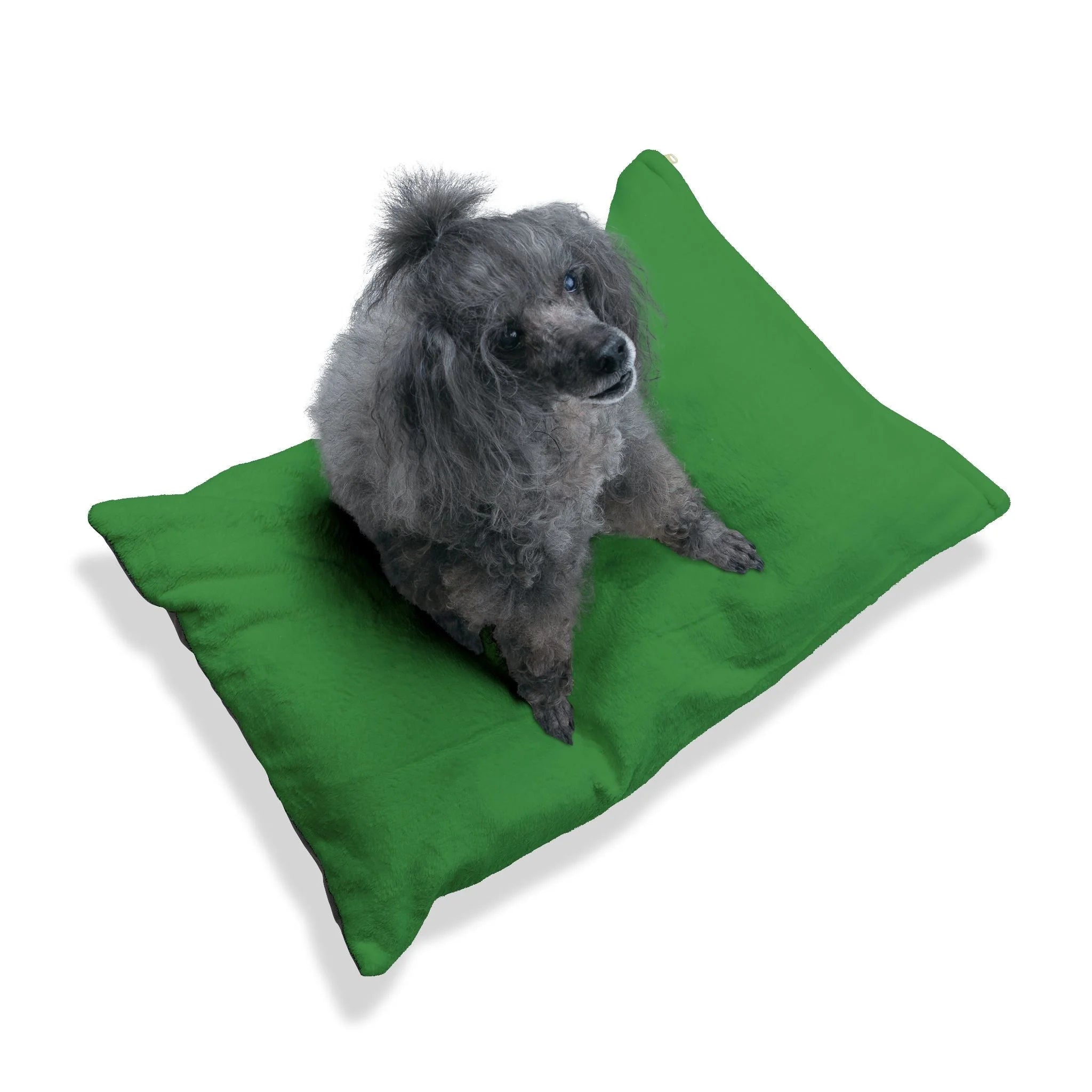 Buy The Best By Artsulli x Color Printify - Pet Bed - 2025
