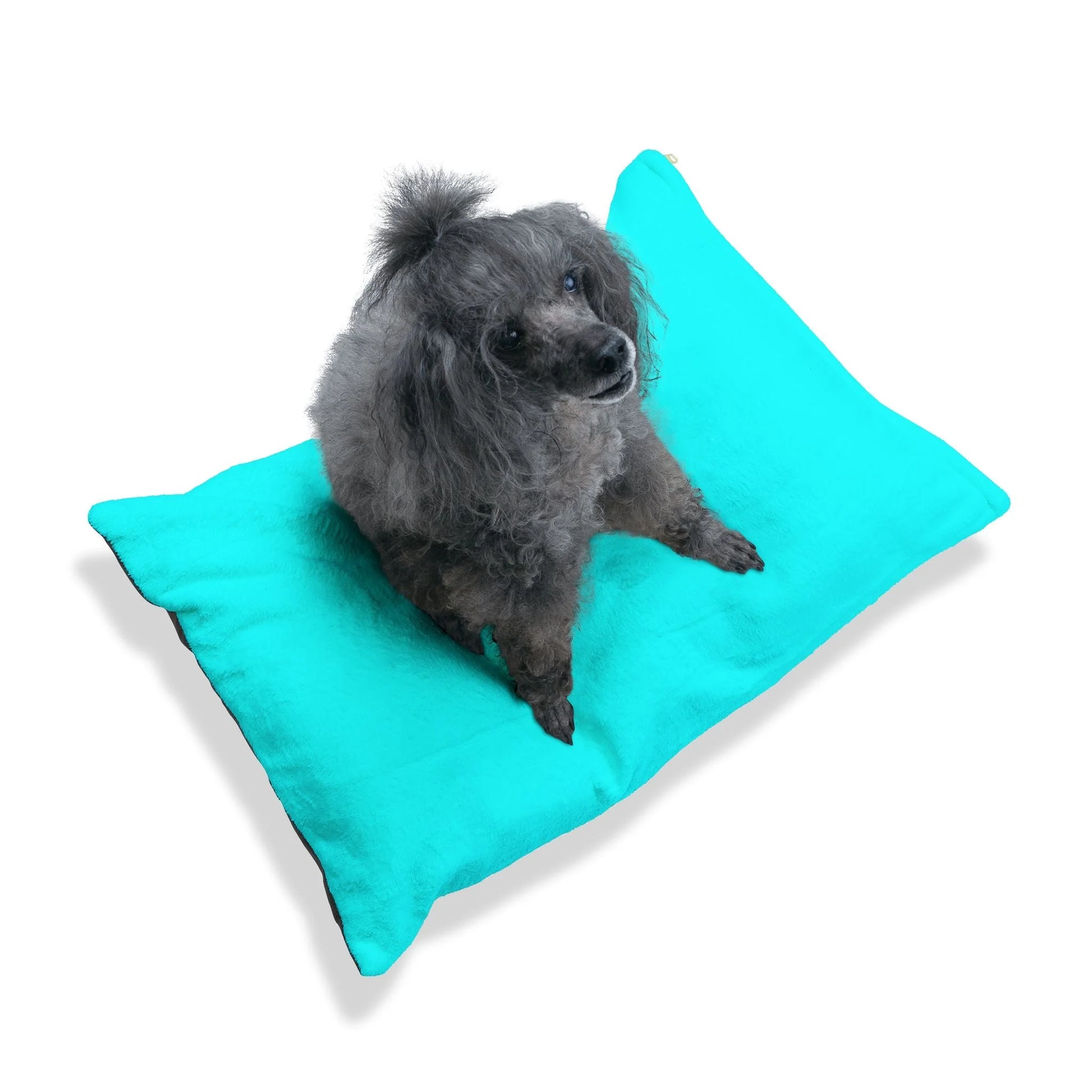 Buy The Best By Artsulli x Color Printify - Pet Bed - 2025