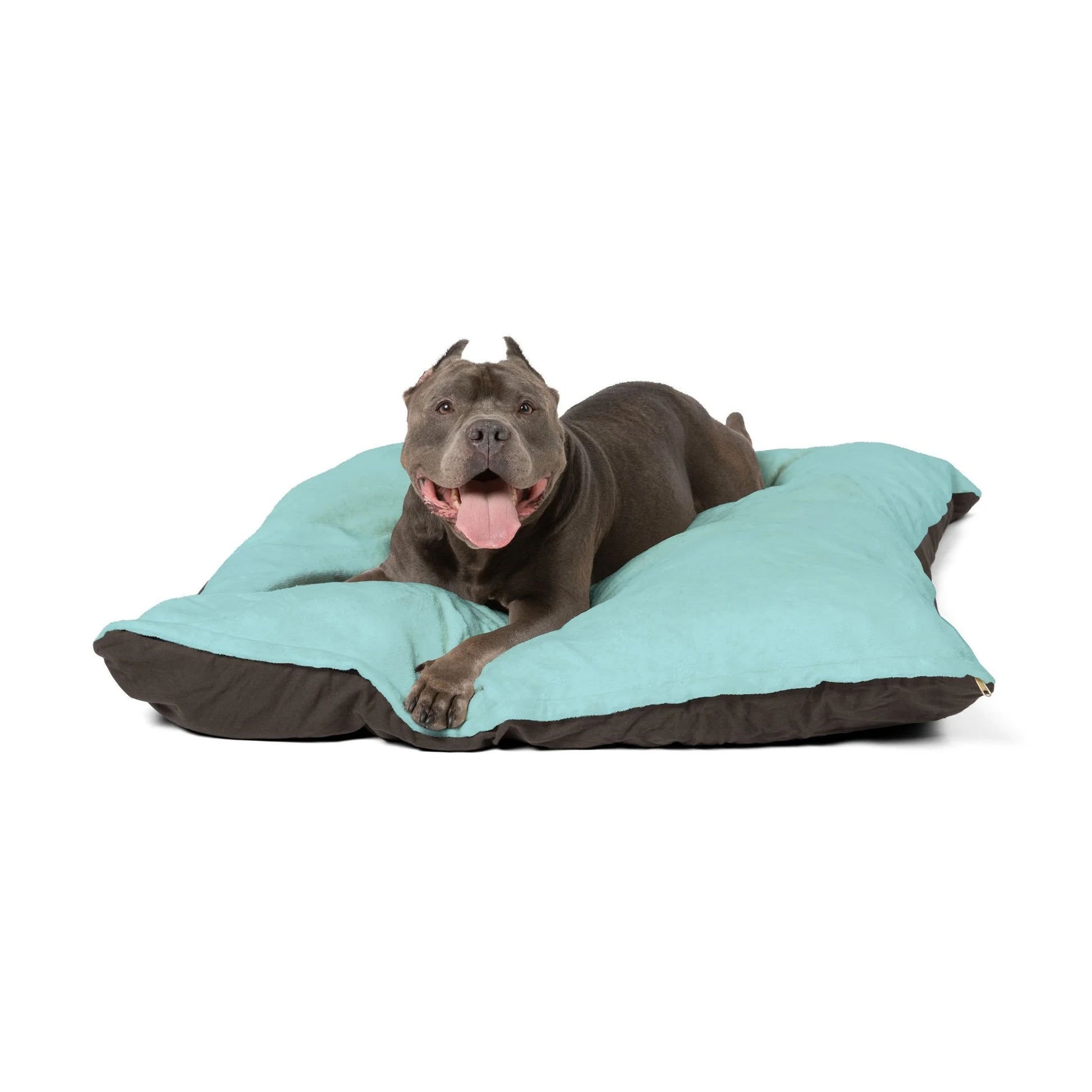 Buy The Best By Artsulli x Color Printify - Pet Bed - 2025