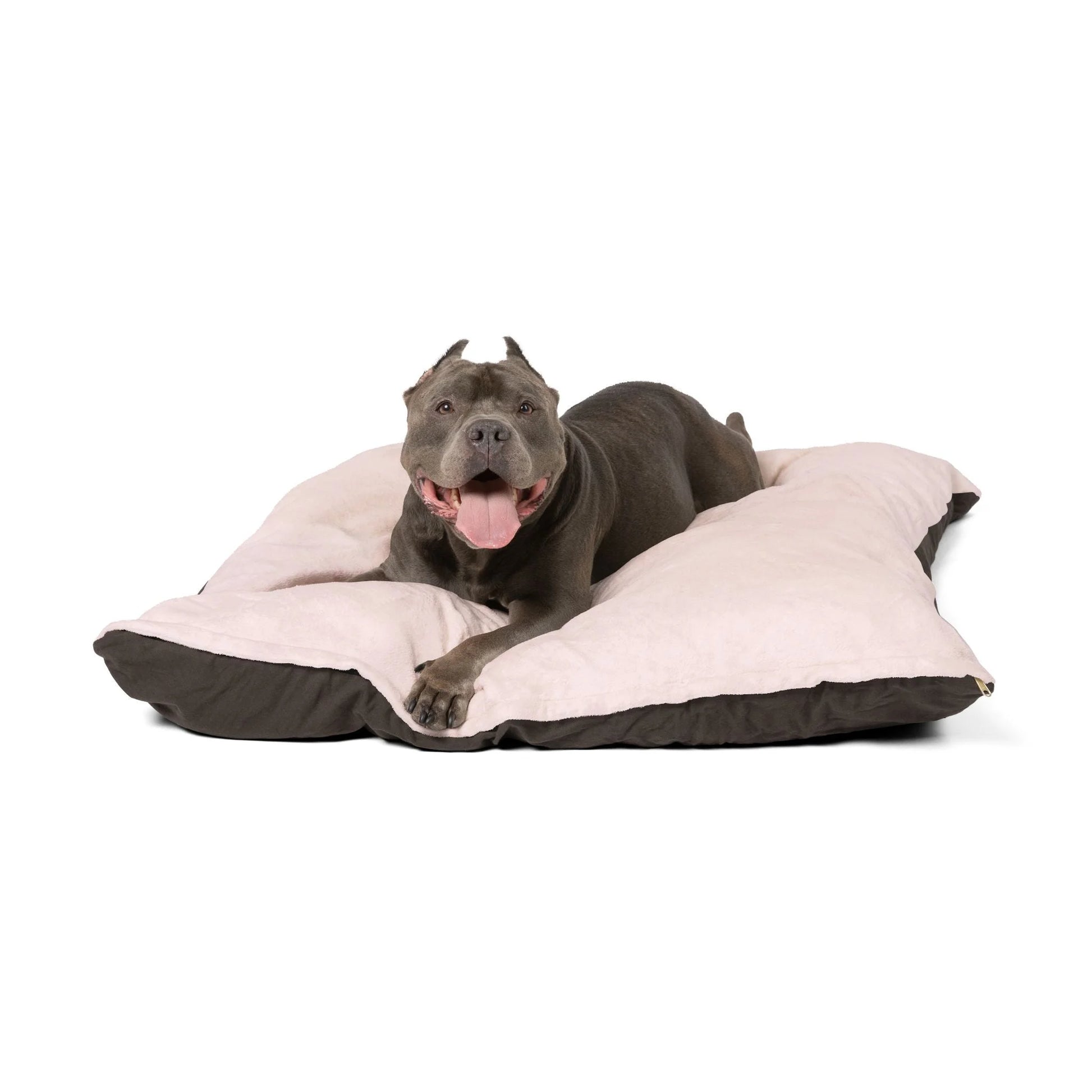Buy The Best By Artsulli x Color Printify - Pet Bed - 2025