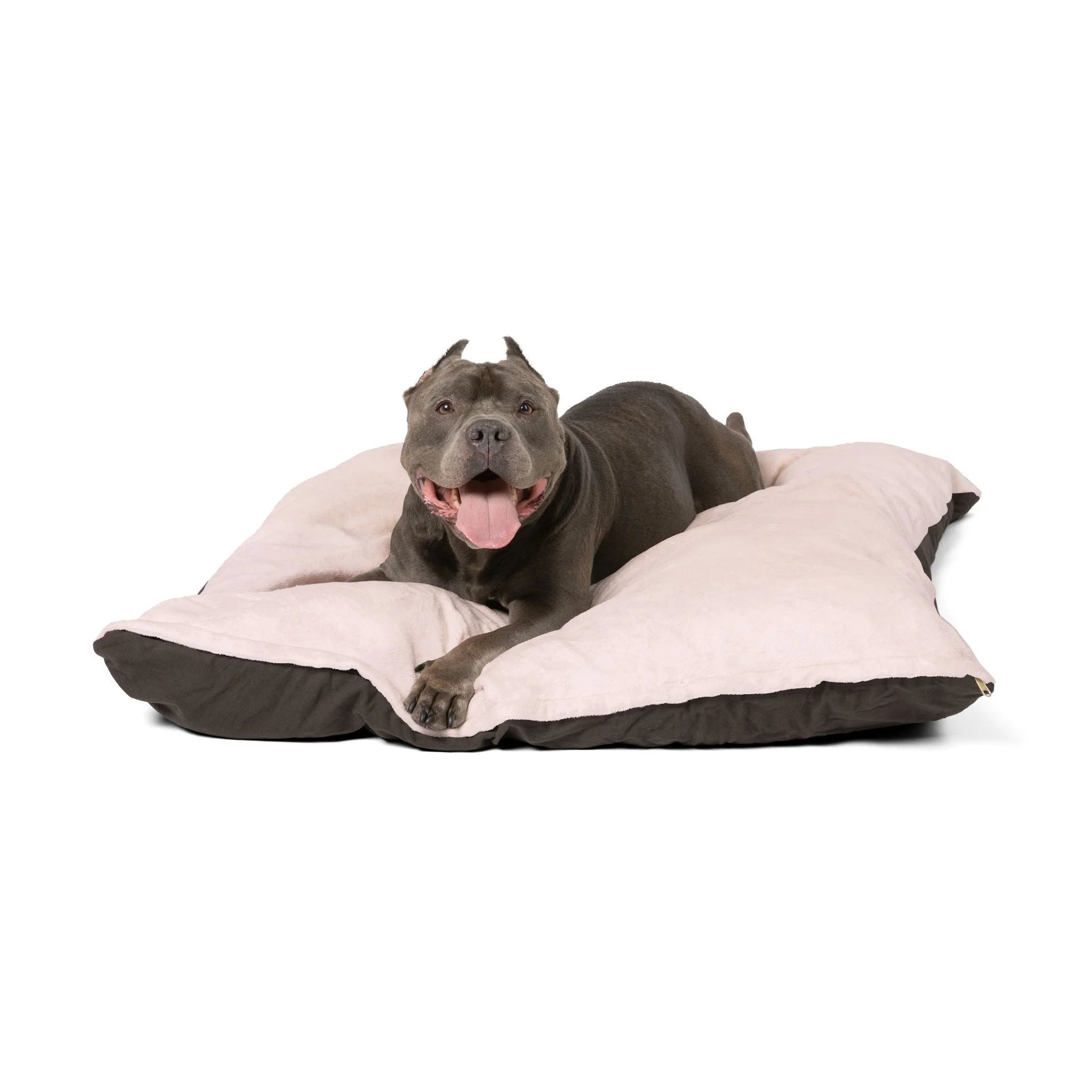 Buy The Best By Artsulli x Color Printify - Pet Bed - 2025