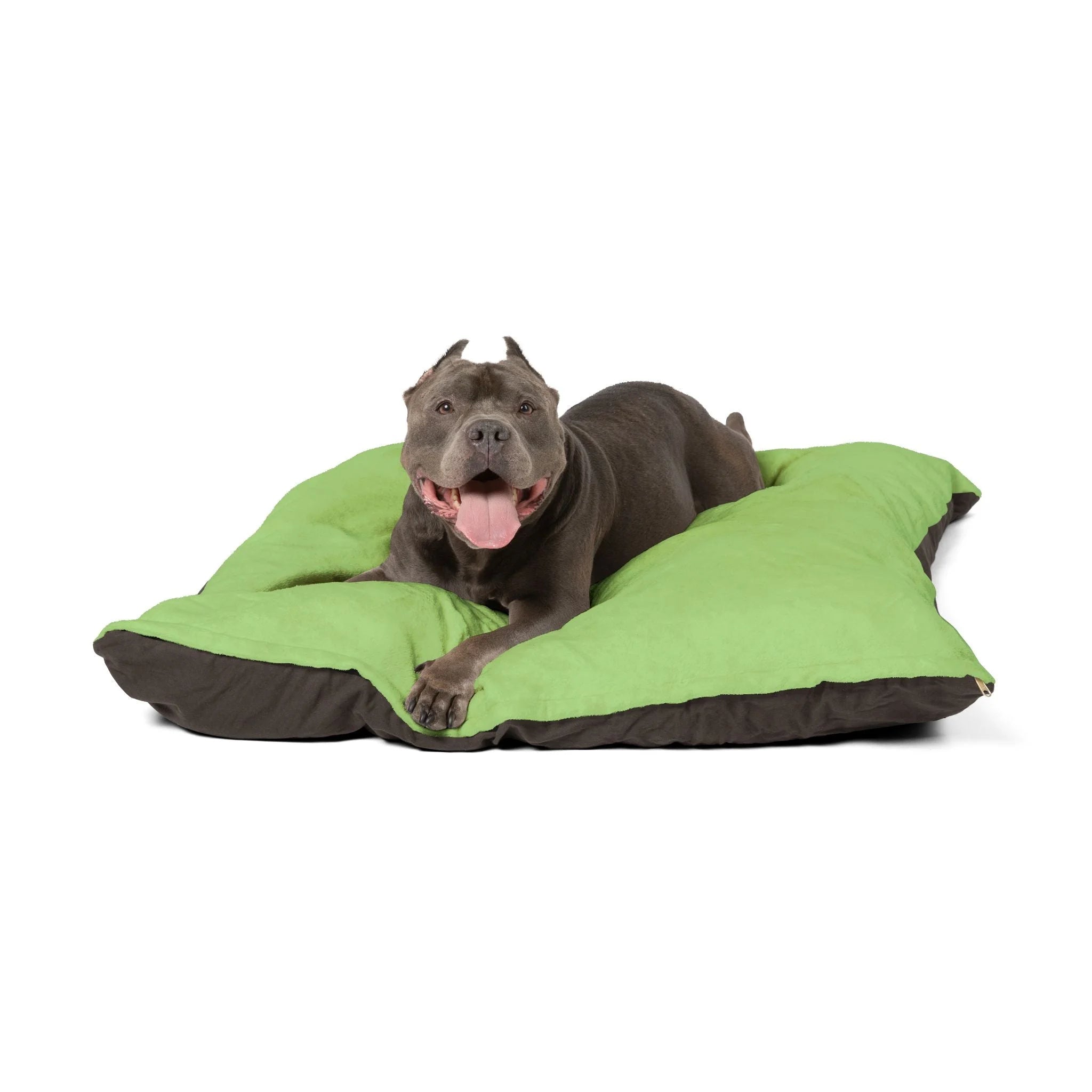 Buy The Best By Artsulli x Color Printify - Pet Bed - 2025