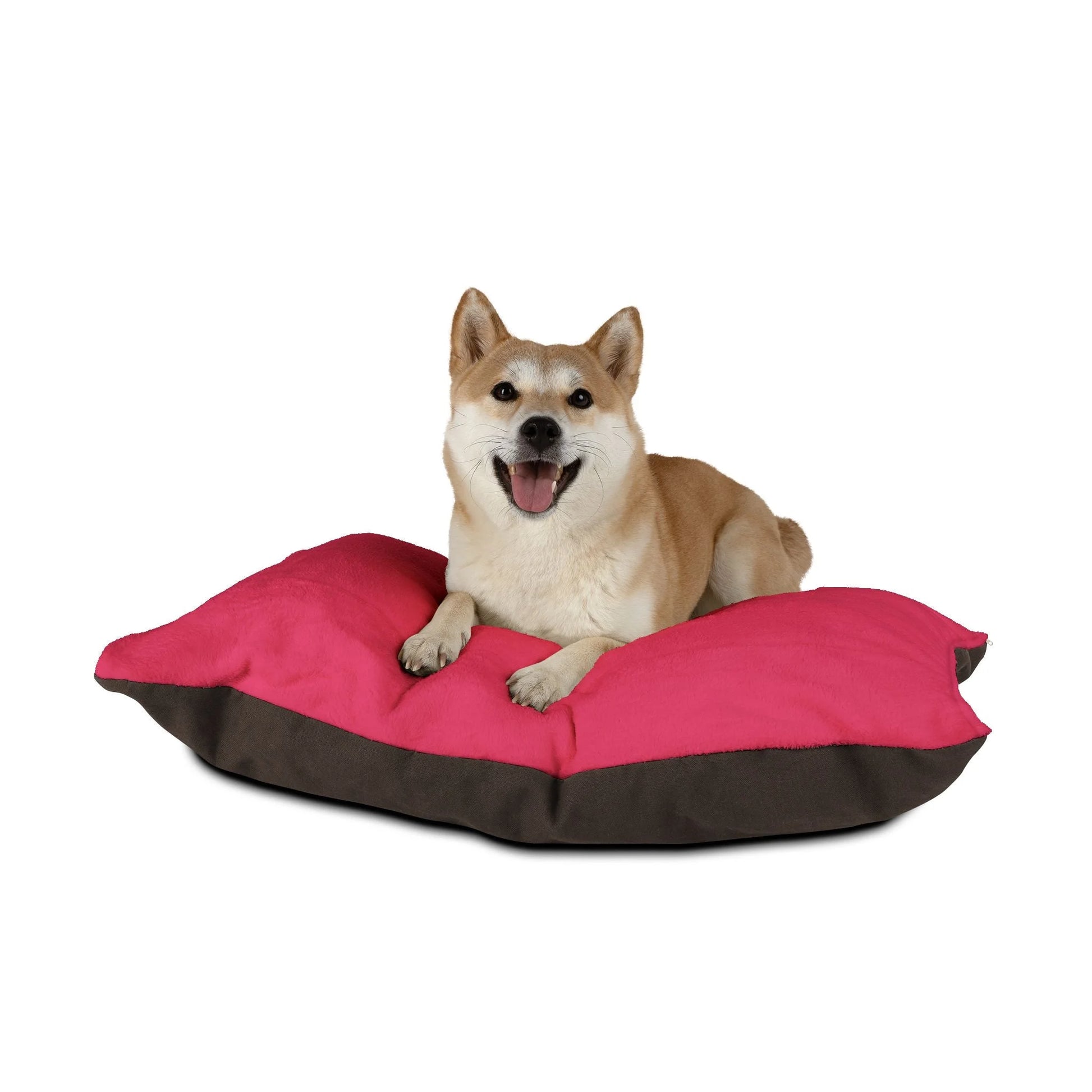 Buy The Best By Artsulli x Color Printify - Pet Bed - 2025