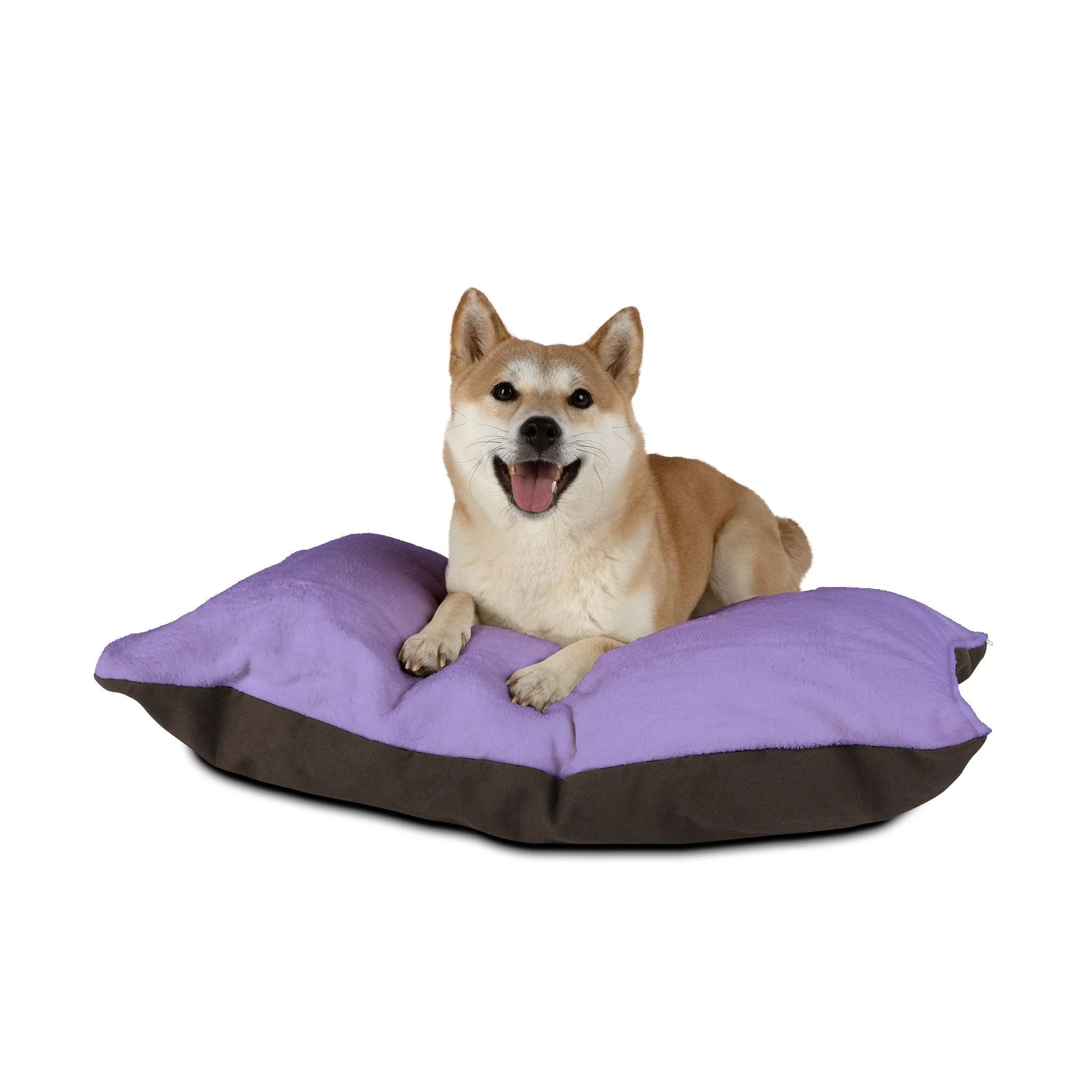 Buy The Best By Artsulli x Color Printify - Pet Bed - 2025
