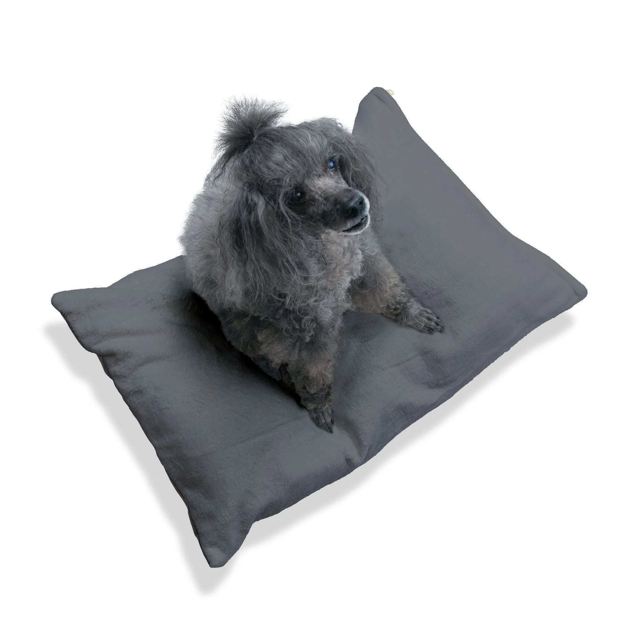Buy The Best By Artsulli x Color Printify - Pet Bed - 2025