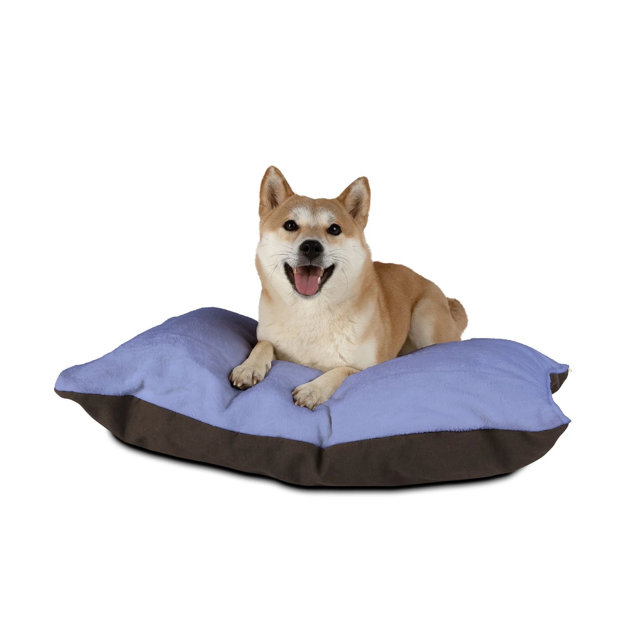 Buy The Best By Artsulli x Color Printify - Pet Bed - 2025