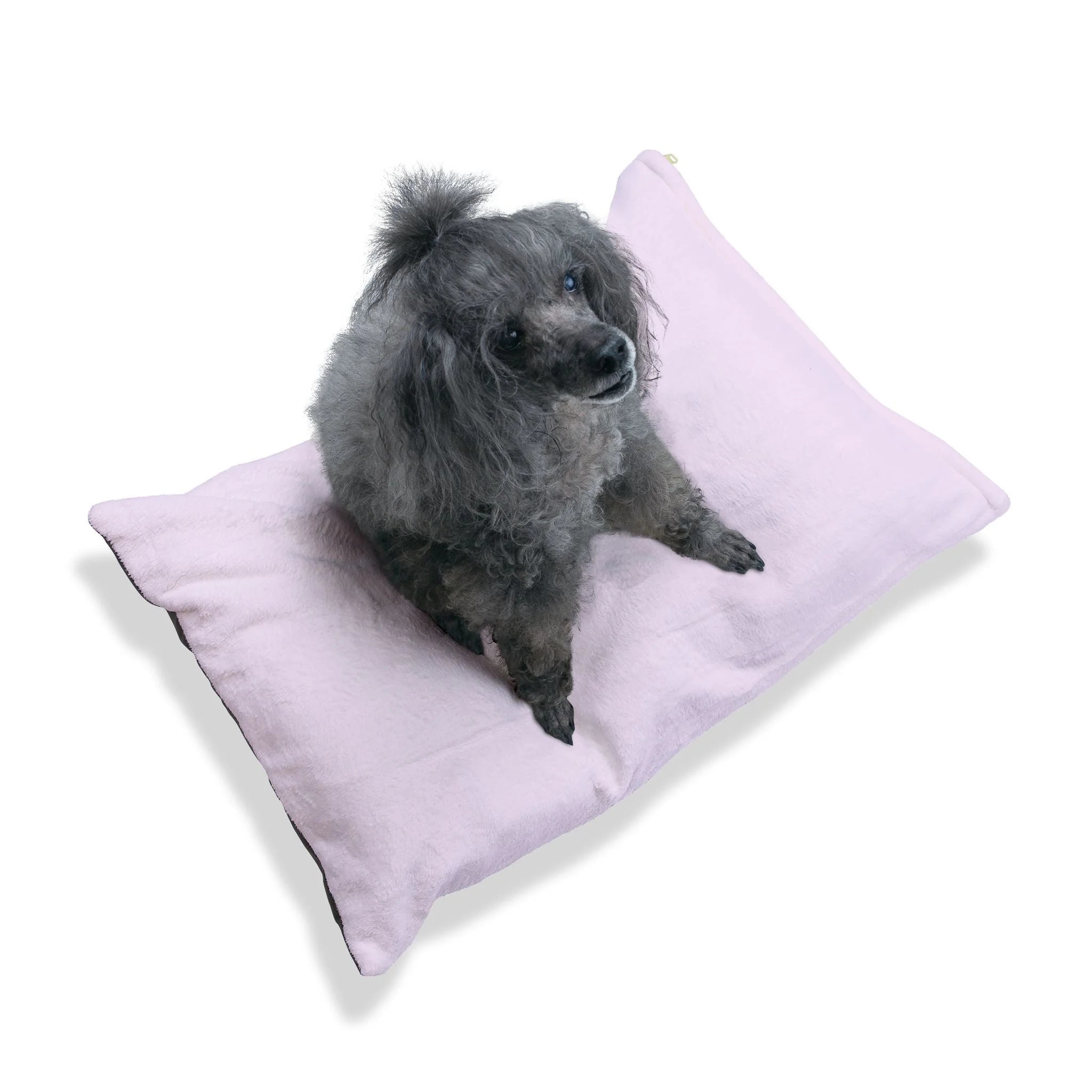Buy The Best By Artsulli x Color Printify - Pet Bed - 2025