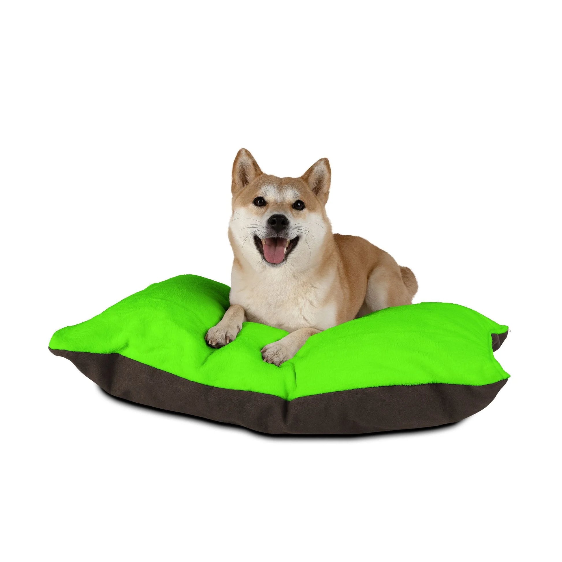 Buy The Best By Artsulli x Color Printify - Pet Bed - 2025