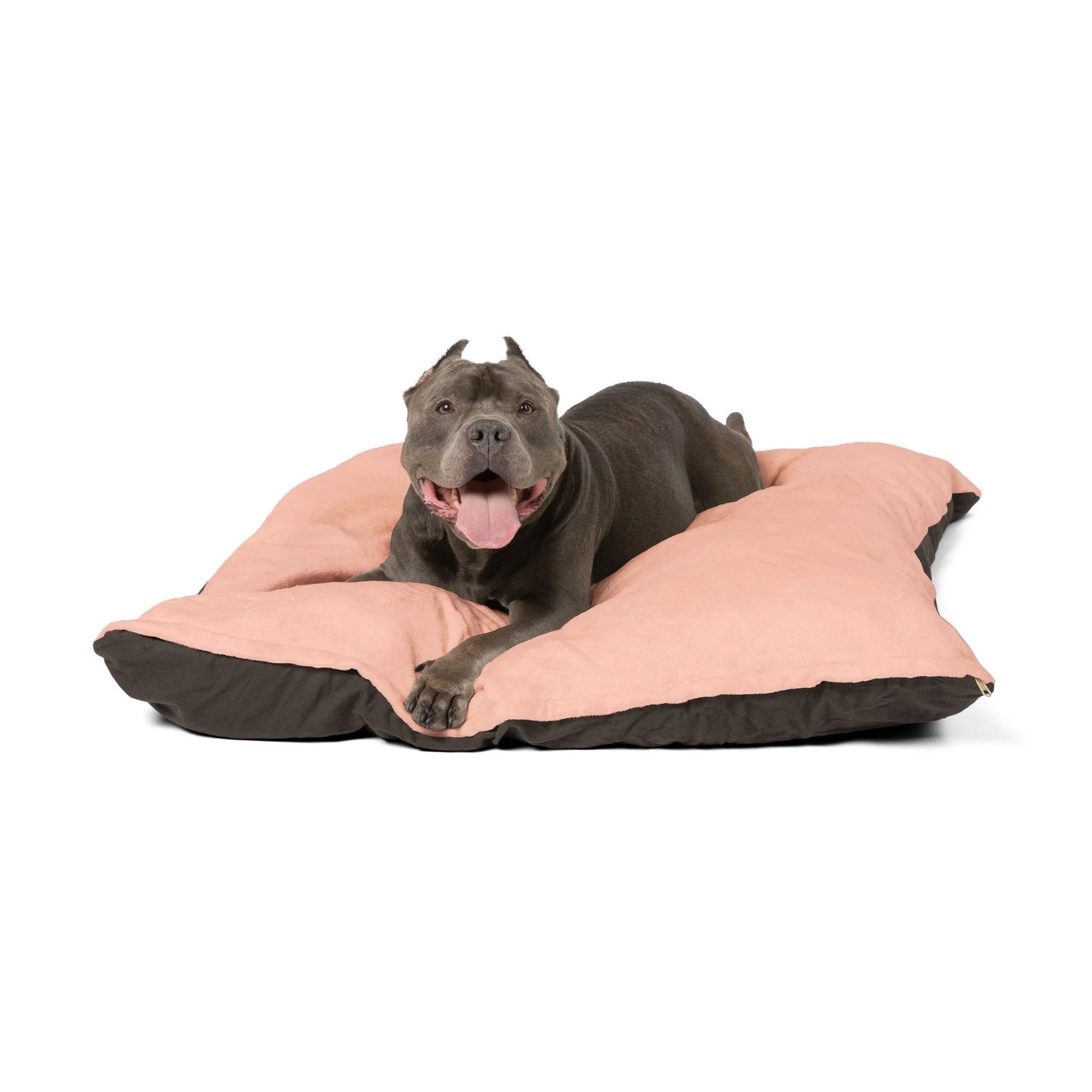 Buy The Best By Artsulli x Color Printify - Pet Bed - 2025