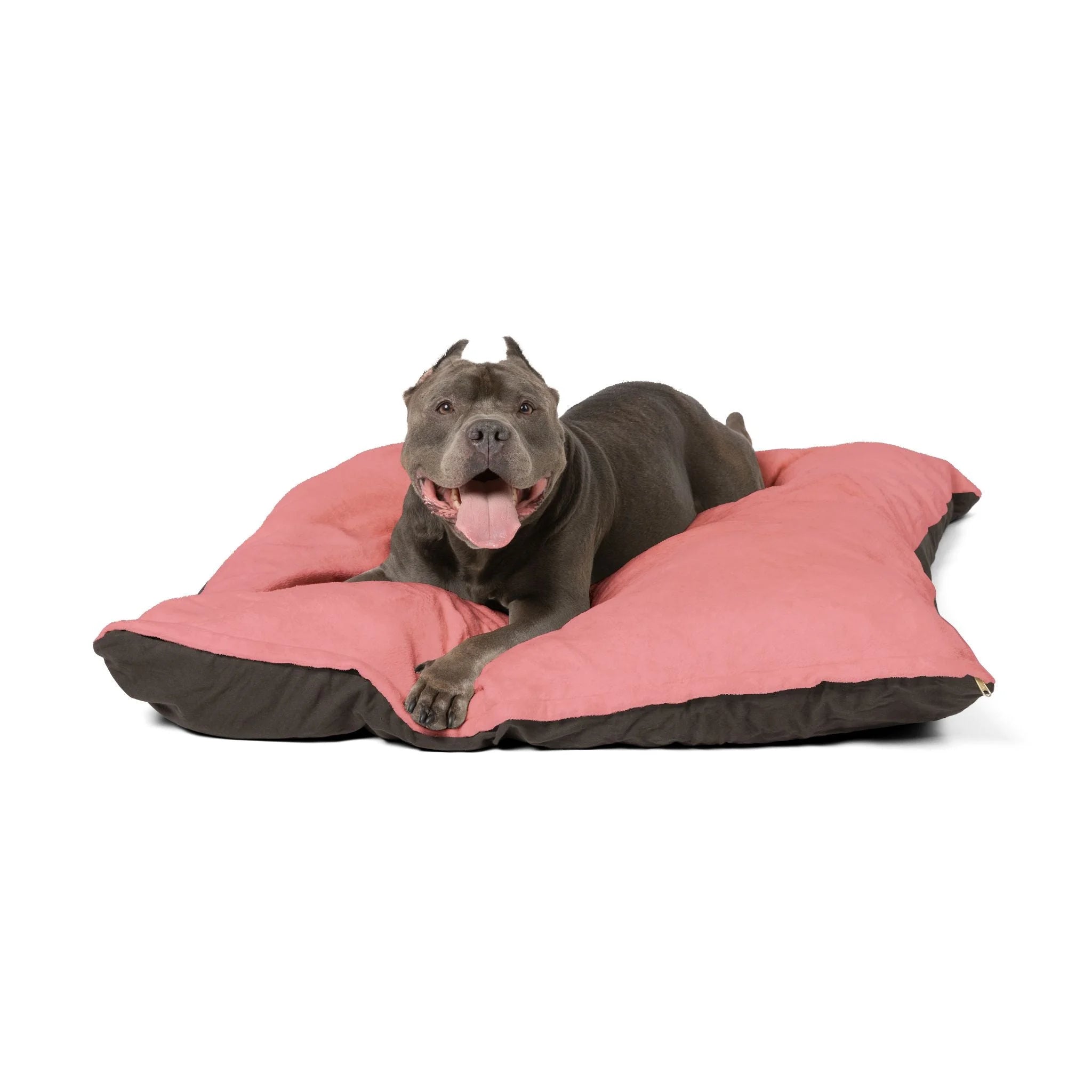 Buy The Best By Artsulli x Color Printify - Pet Bed - 2025