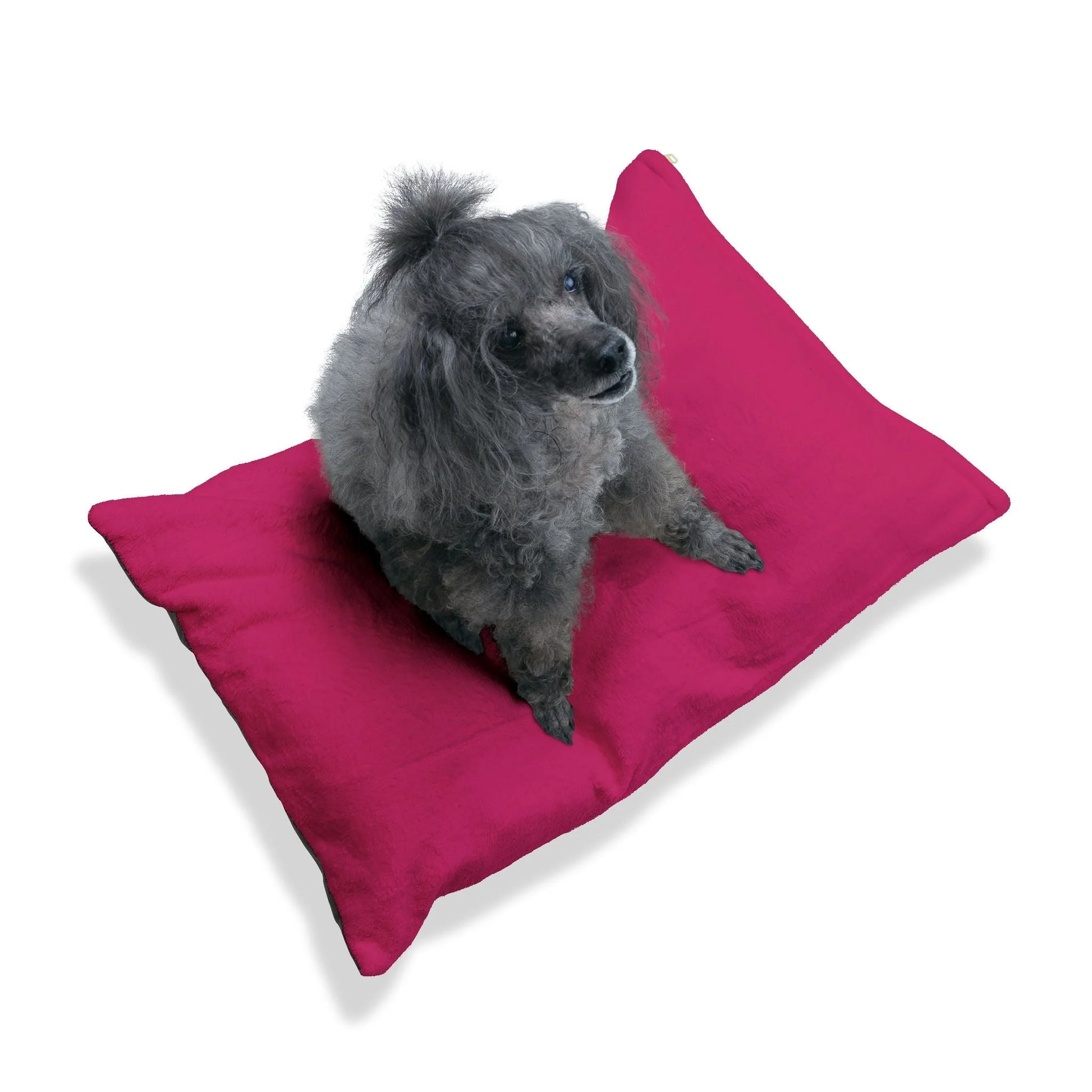 Buy The Best By Artsulli x Color Printify - Pet Bed - 2025