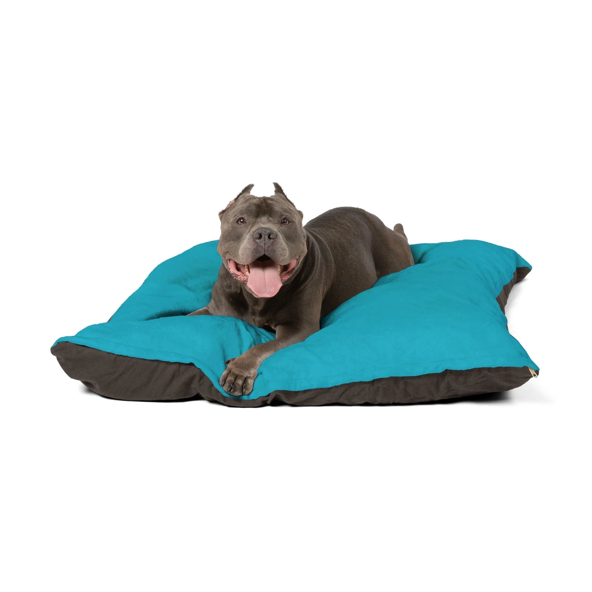 Buy The Best By Artsulli x Color Printify - Pet Bed - 2025
