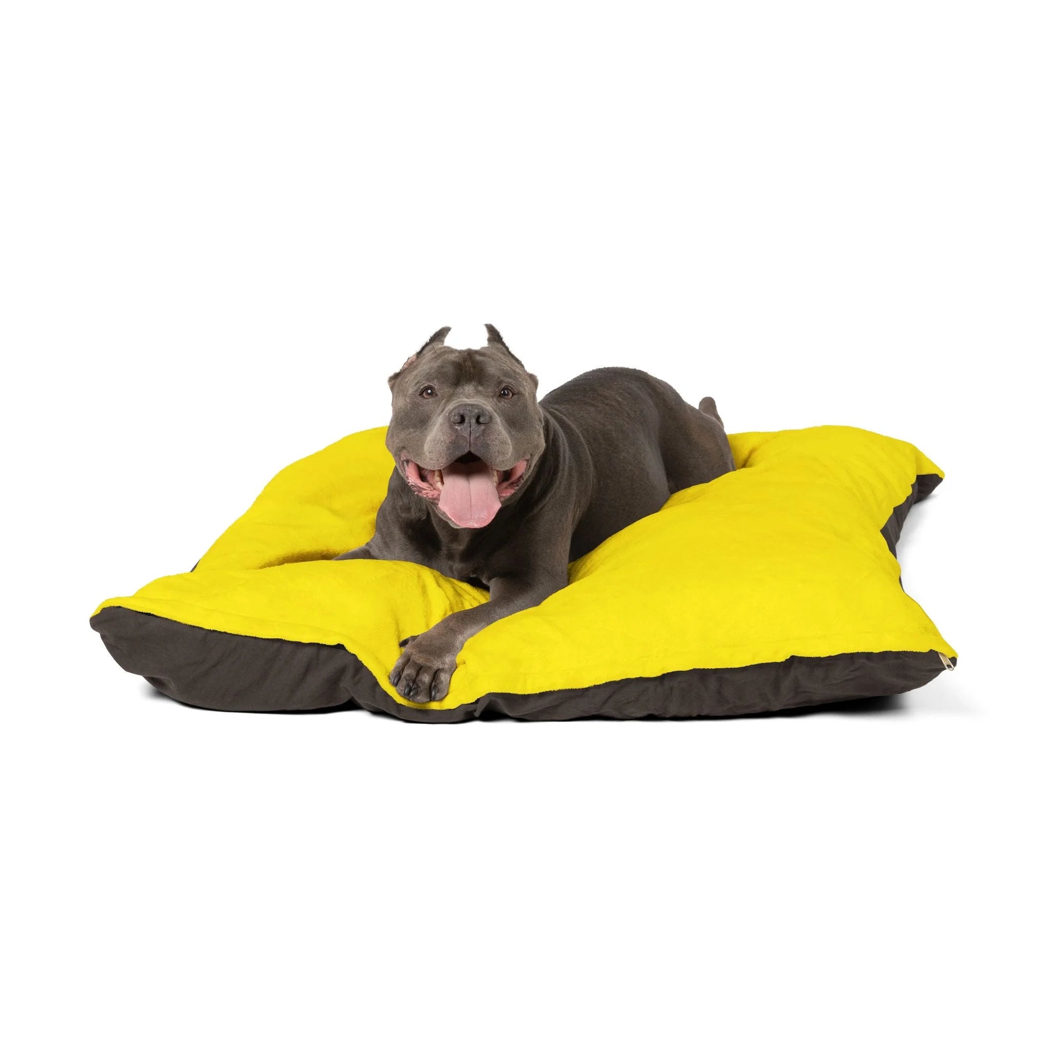 Buy The Best By Artsulli x Color Printify - Pet Bed - 2025