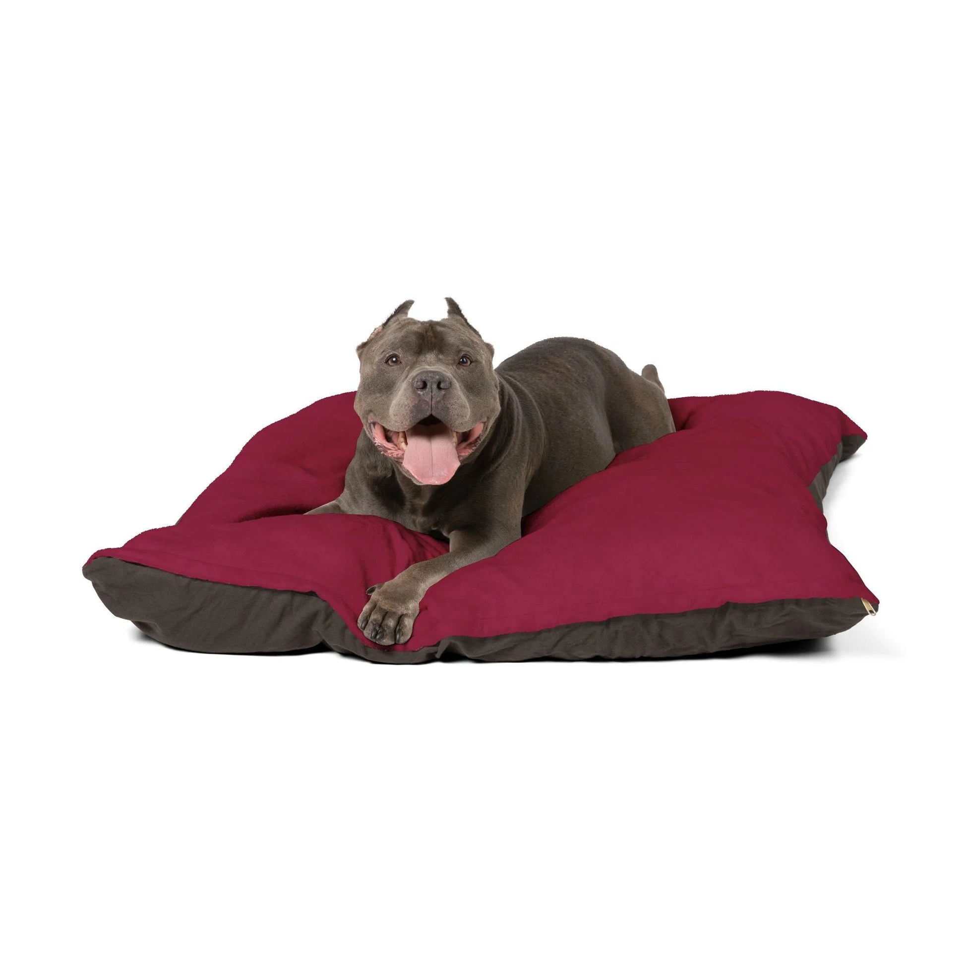 Buy The Best By Printify - Pet Bed - 2025