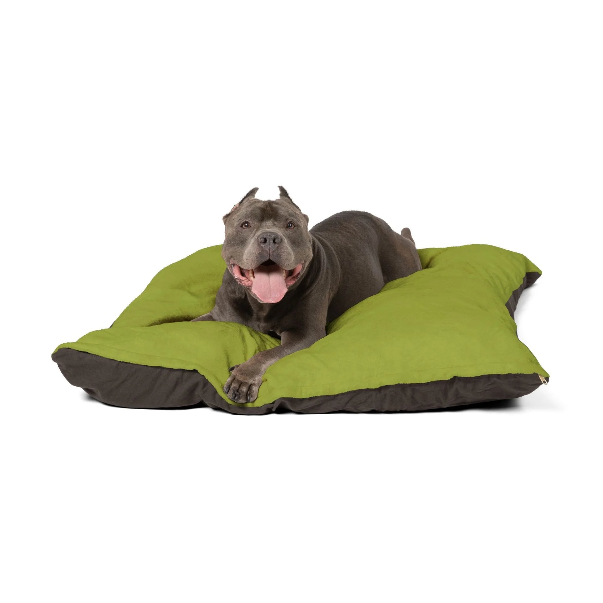Buy The Best By Artsulli x Color Printify - Pet Bed - 2025