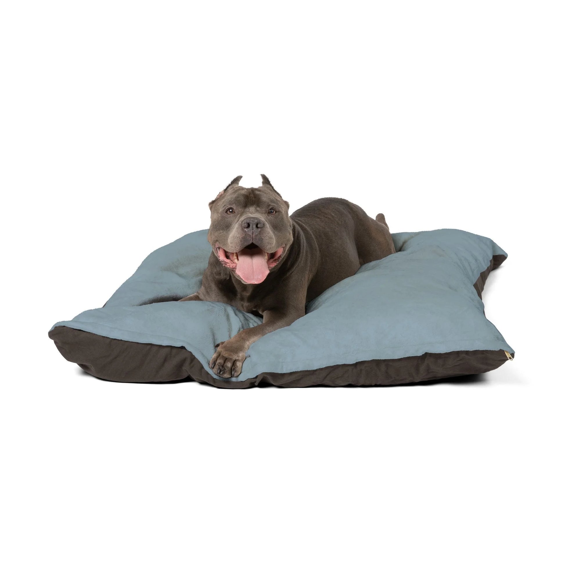 Buy The Best By Artsulli x Color Printify - Pet Bed - 2025