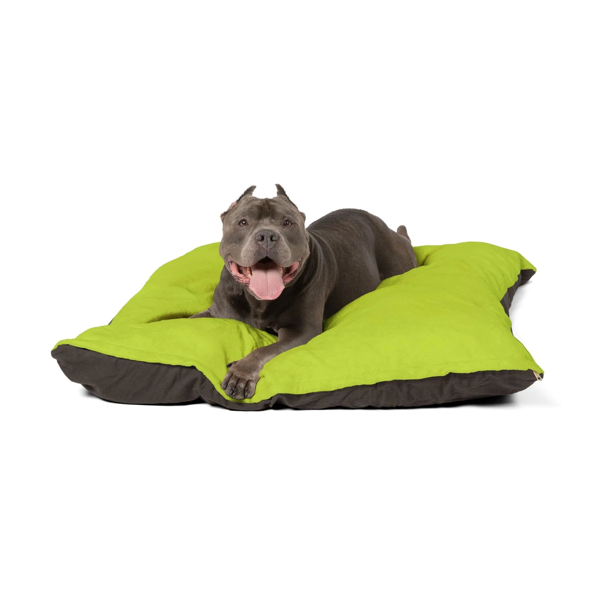 Buy The Best By Artsulli x Color Printify - Pet Bed - 2025