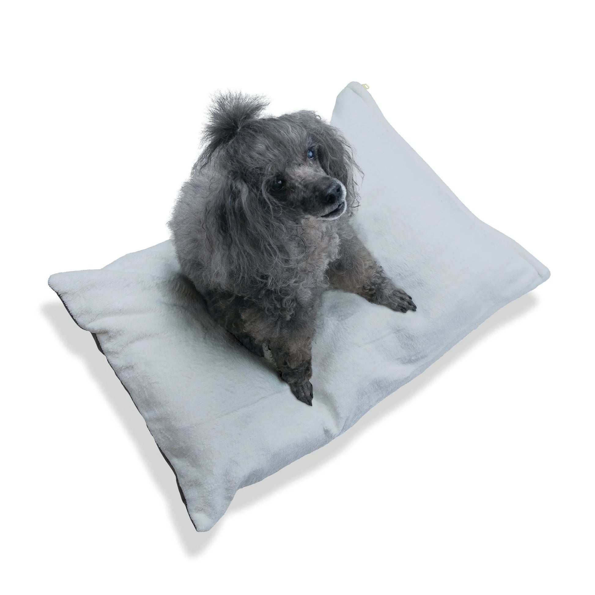 Buy The Best By Artsulli x Color Printify - Pet Bed - 2025