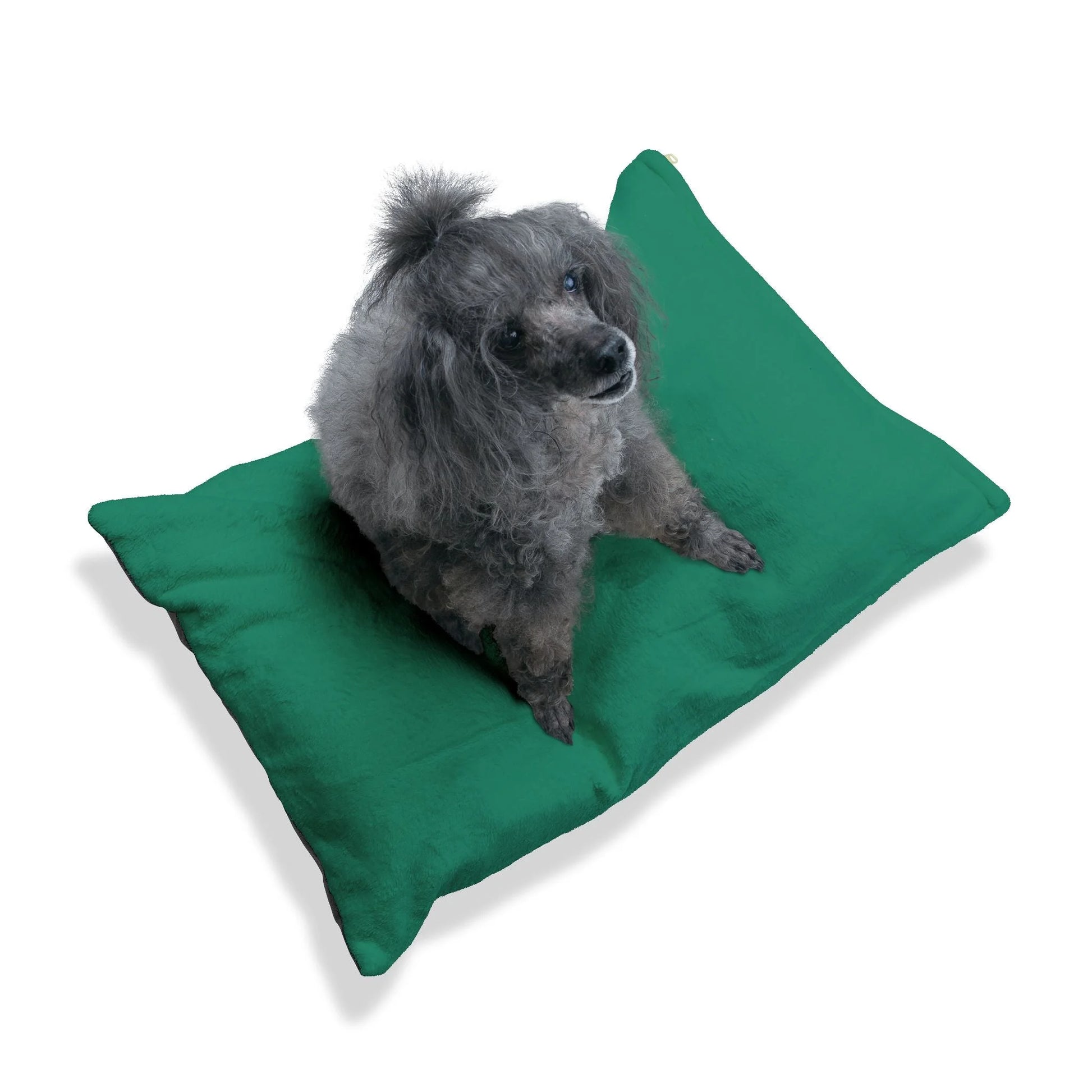 Buy The Best By Artsulli x Color Printify - Pet Bed - 2025