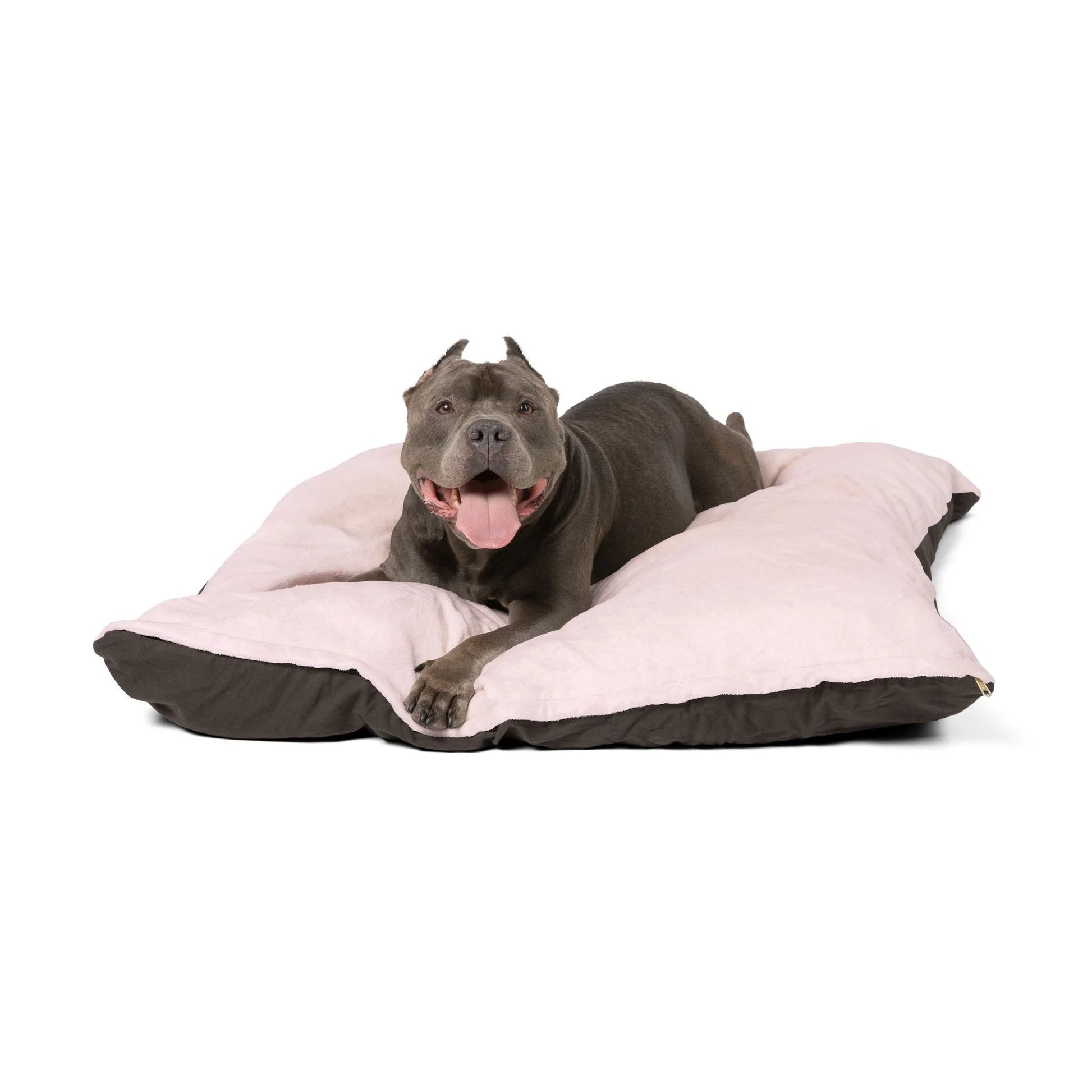 Buy The Best By Artsulli x Color Printify - Pet Bed - 2025