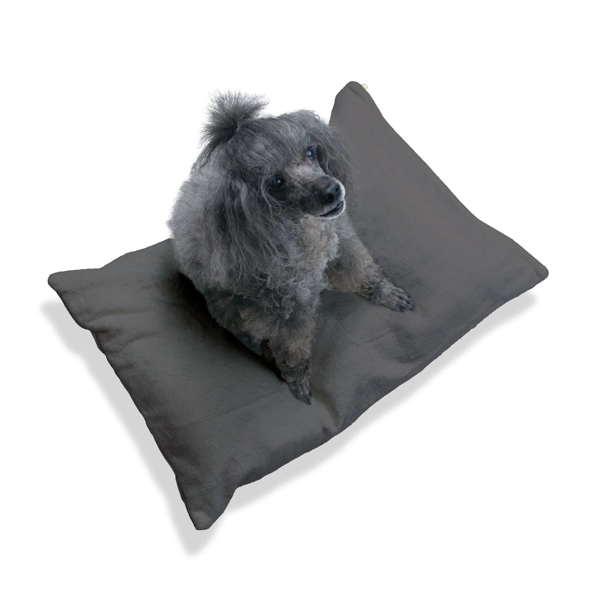 Buy The Best By Artsulli x Color Printify - Pet Bed - 2025