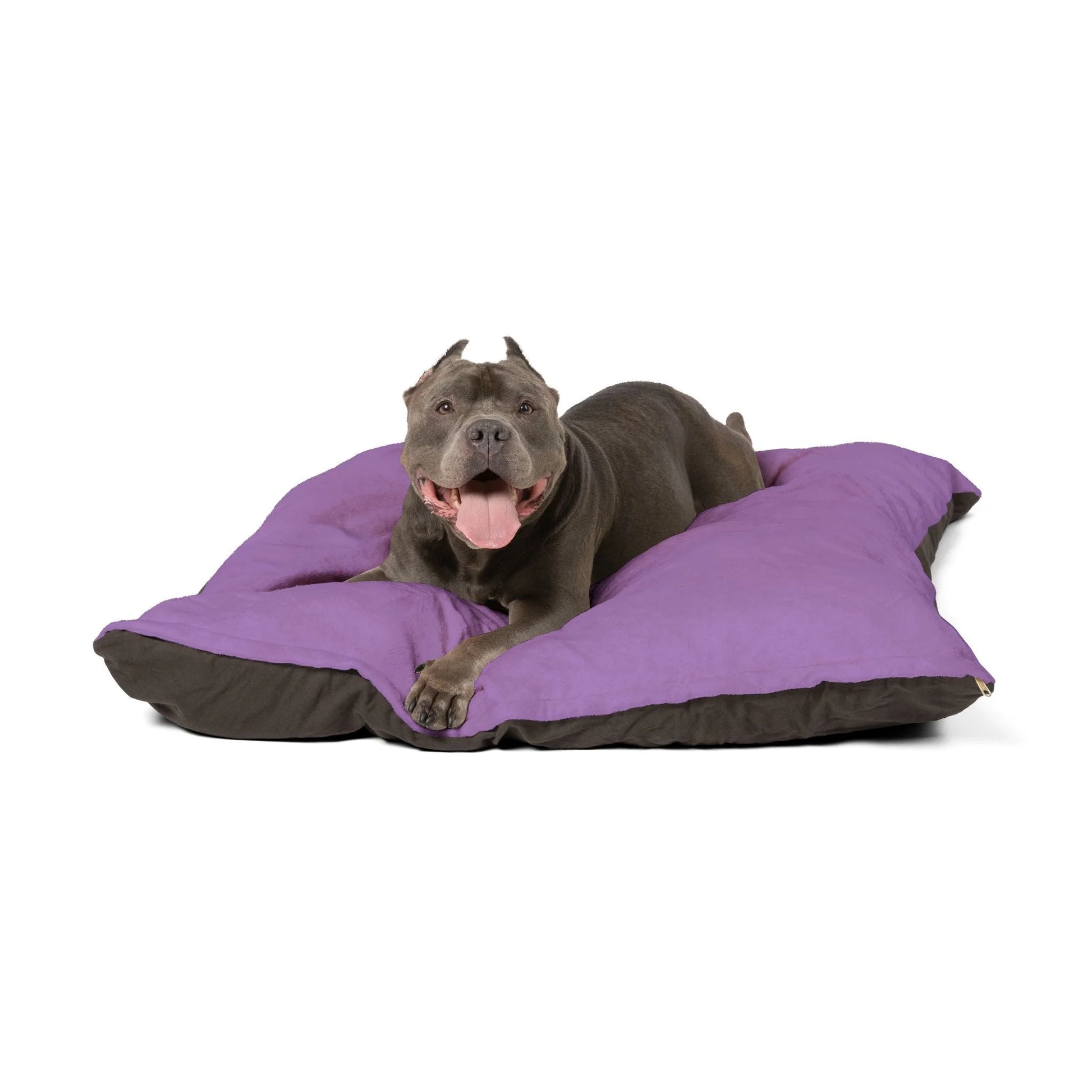 Buy The Best By Printify - Pet Bed - 2025