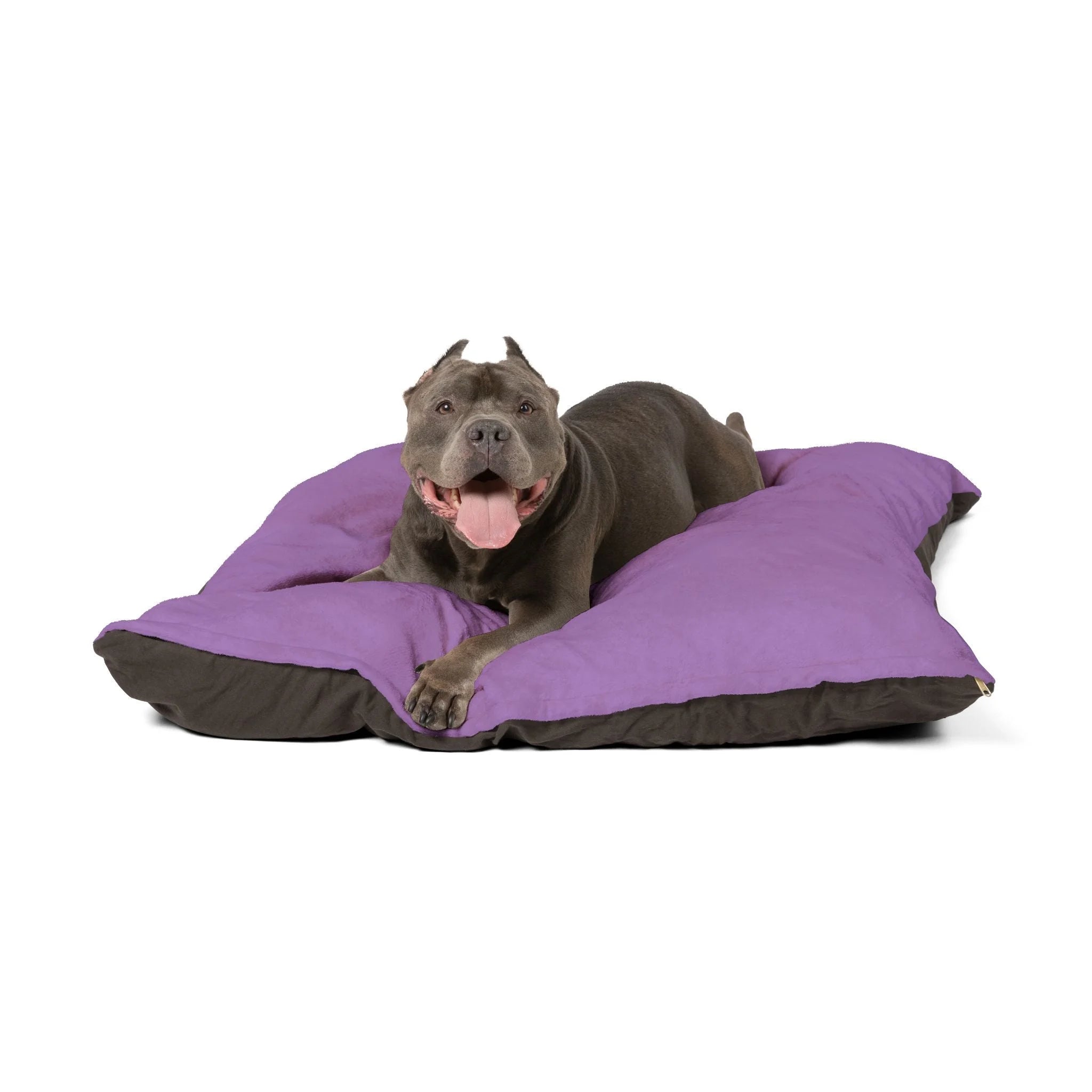 Buy The Best By Printify - Pet Bed - 2025