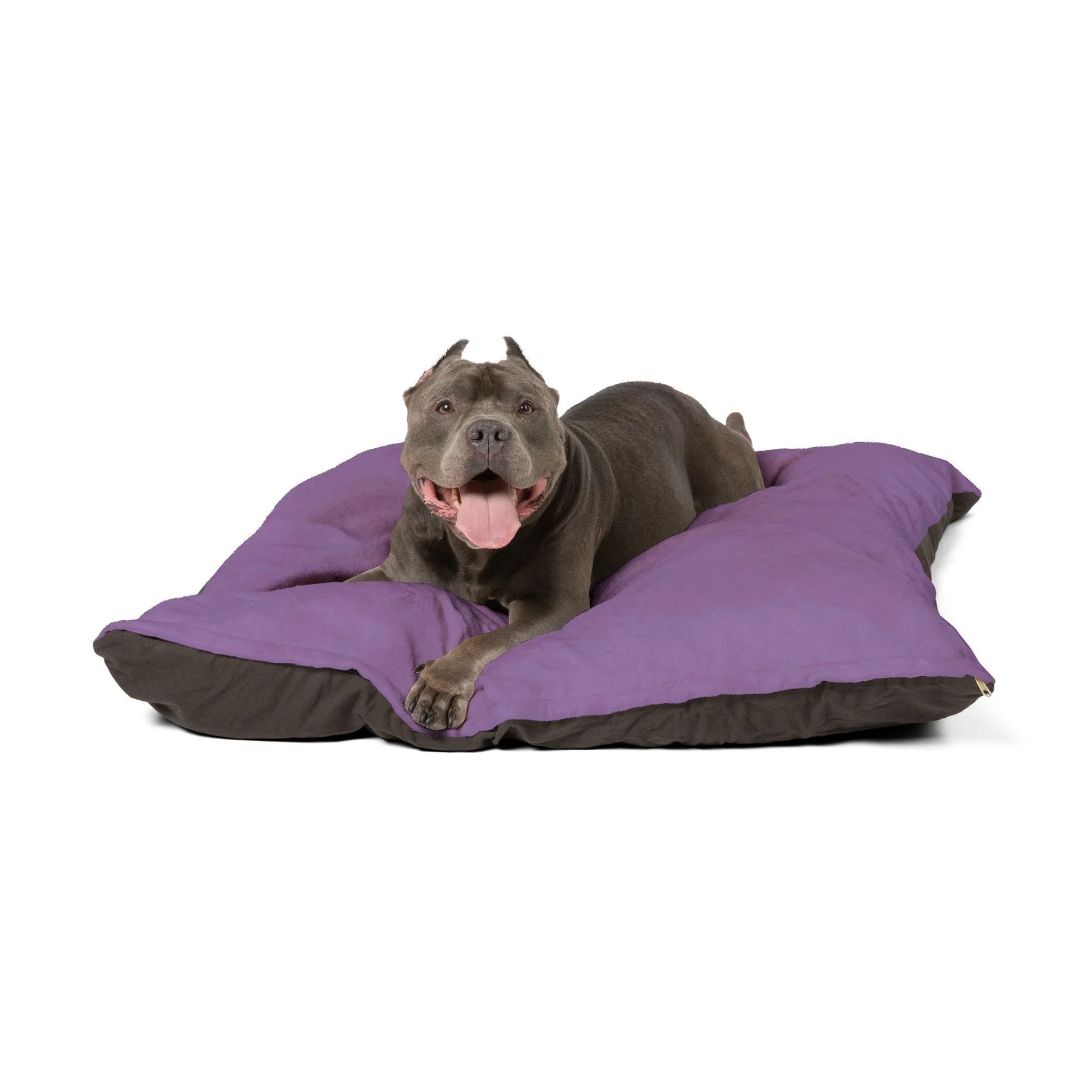 Buy The Best By Artsulli x Color Printify - Pet Bed - 2025