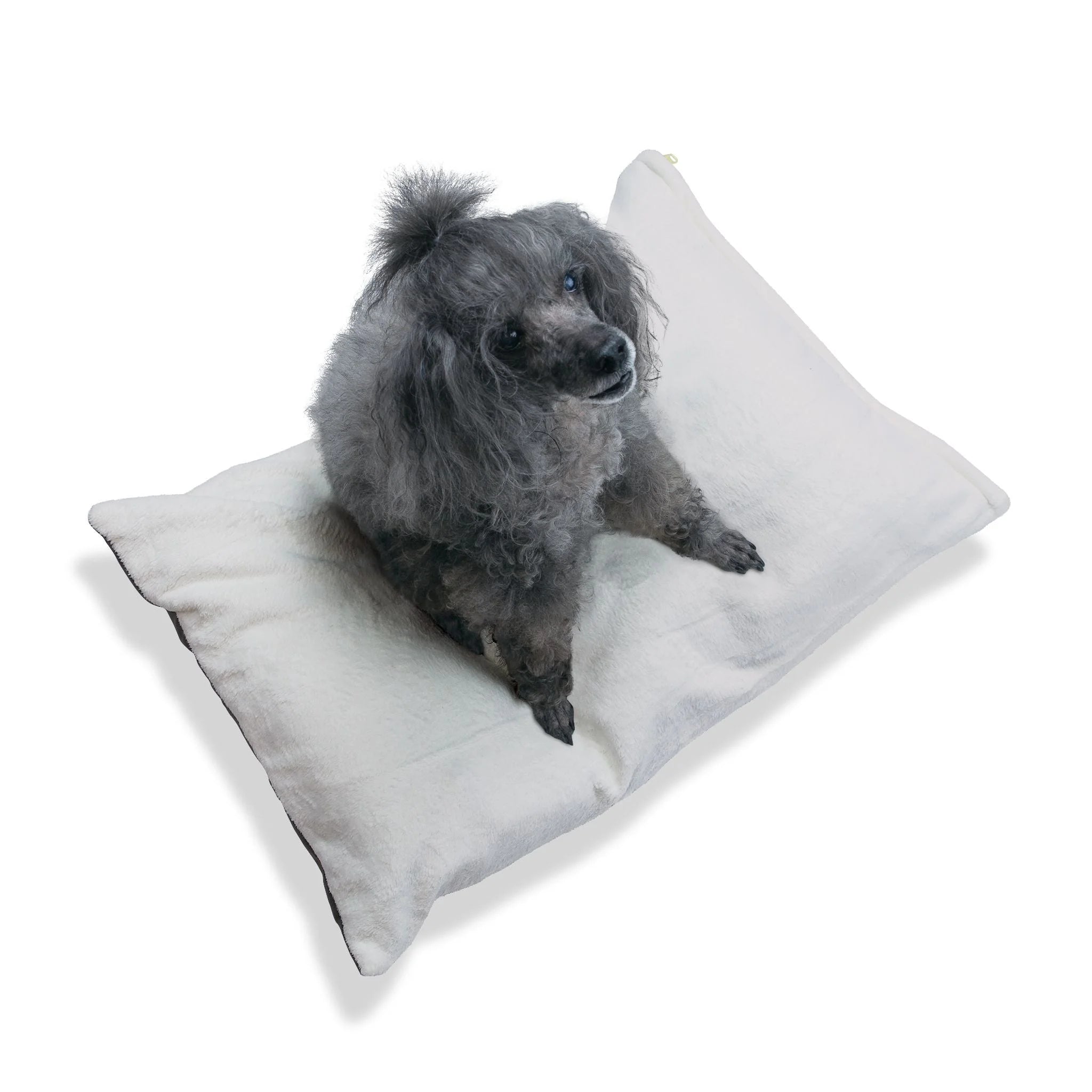 Buy The Best By Artsulli x Color Printify - Pet Bed - 2025