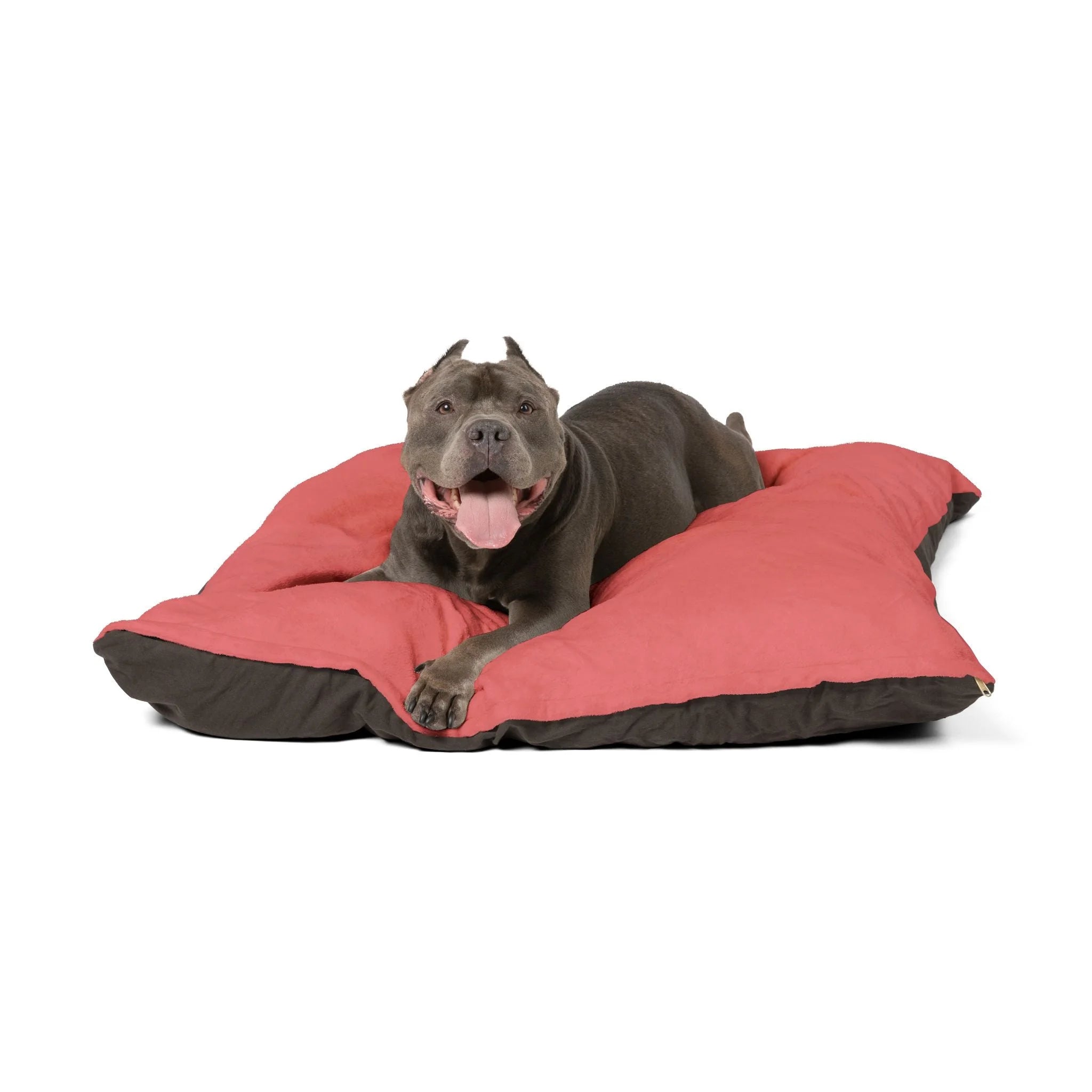 Buy The Best By Artsulli x Color Printify - Pet Bed - 2025