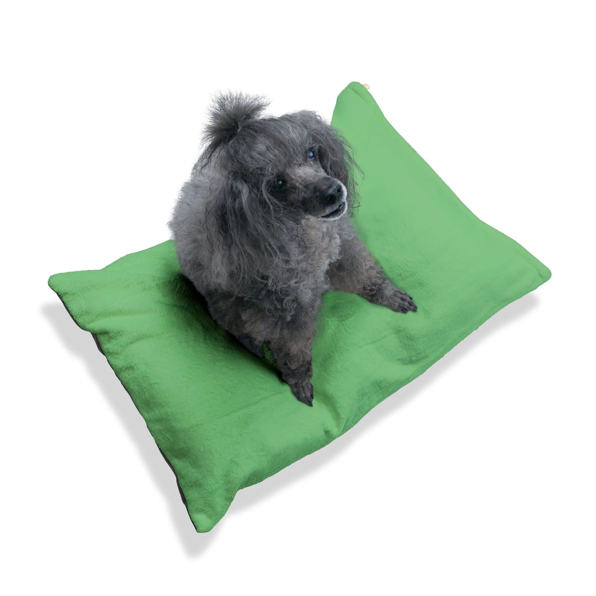 Buy The Best By Artsulli x Color Printify - Pet Bed - 2025
