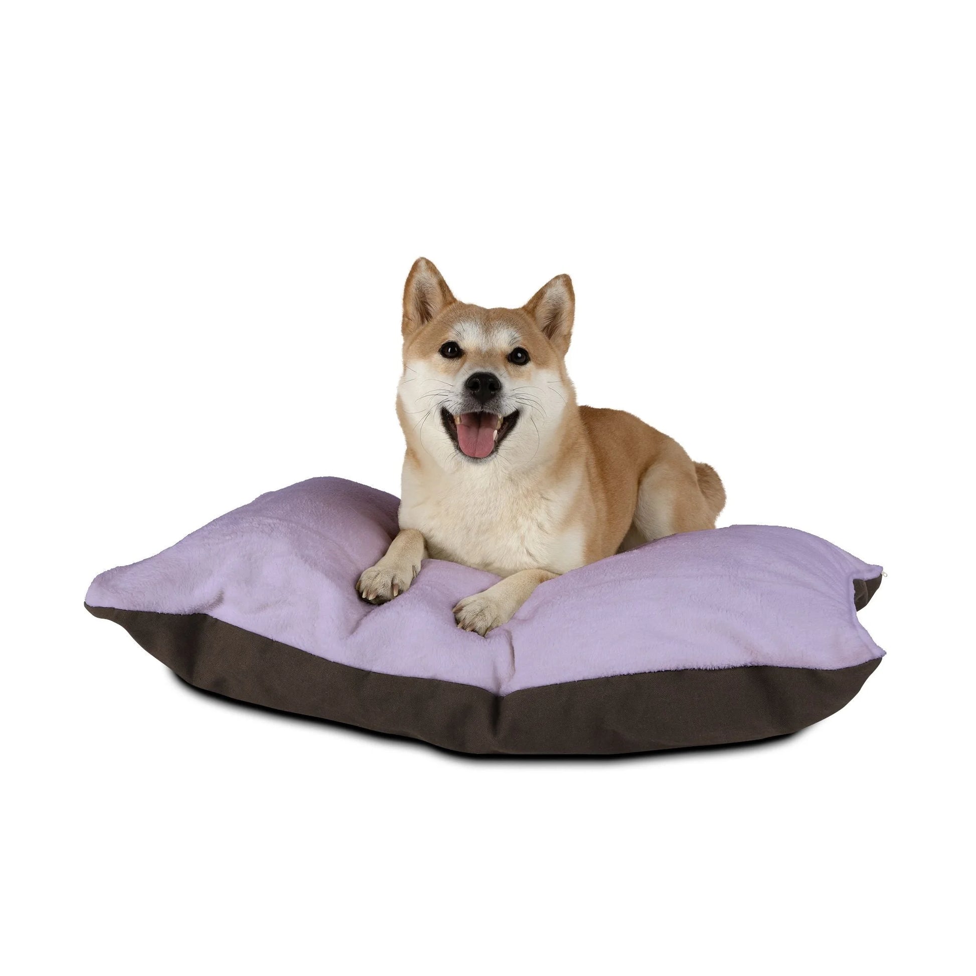 Buy The Best By Artsulli x Color Printify - Pet Bed - 2025