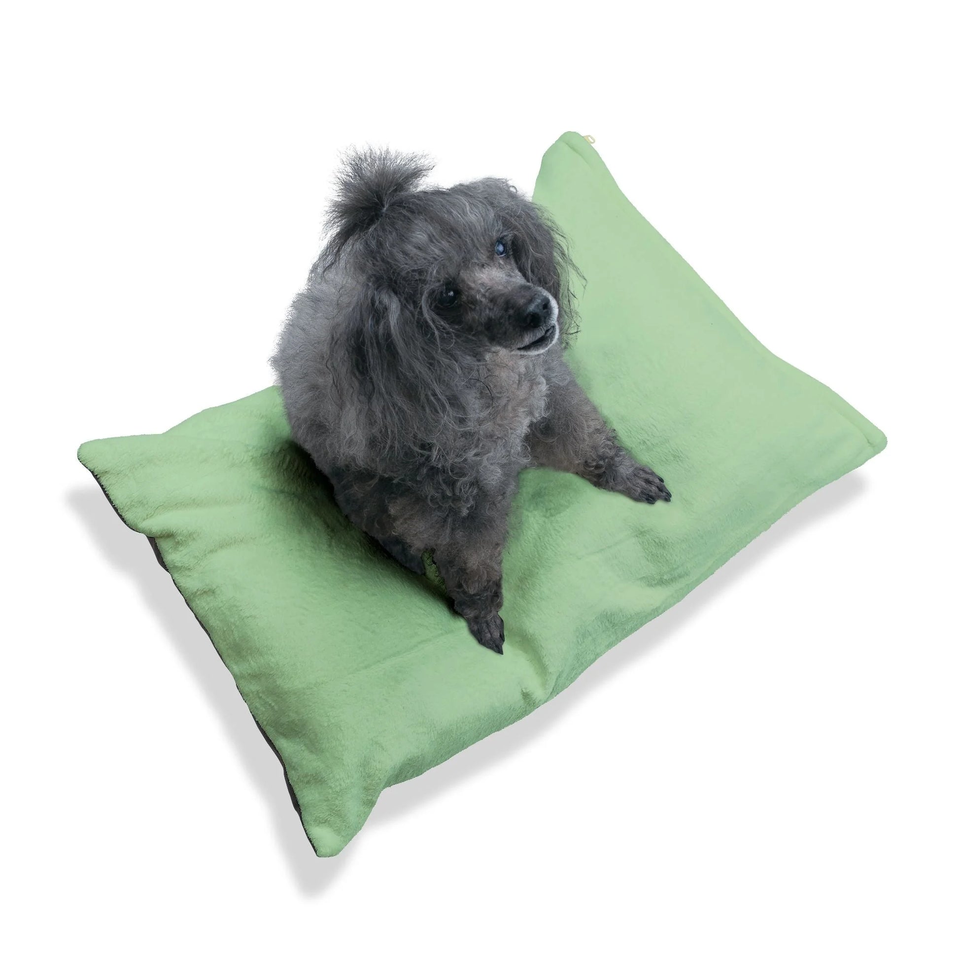 Buy The Best By Artsulli x Color Printify - Pet Bed - 2025