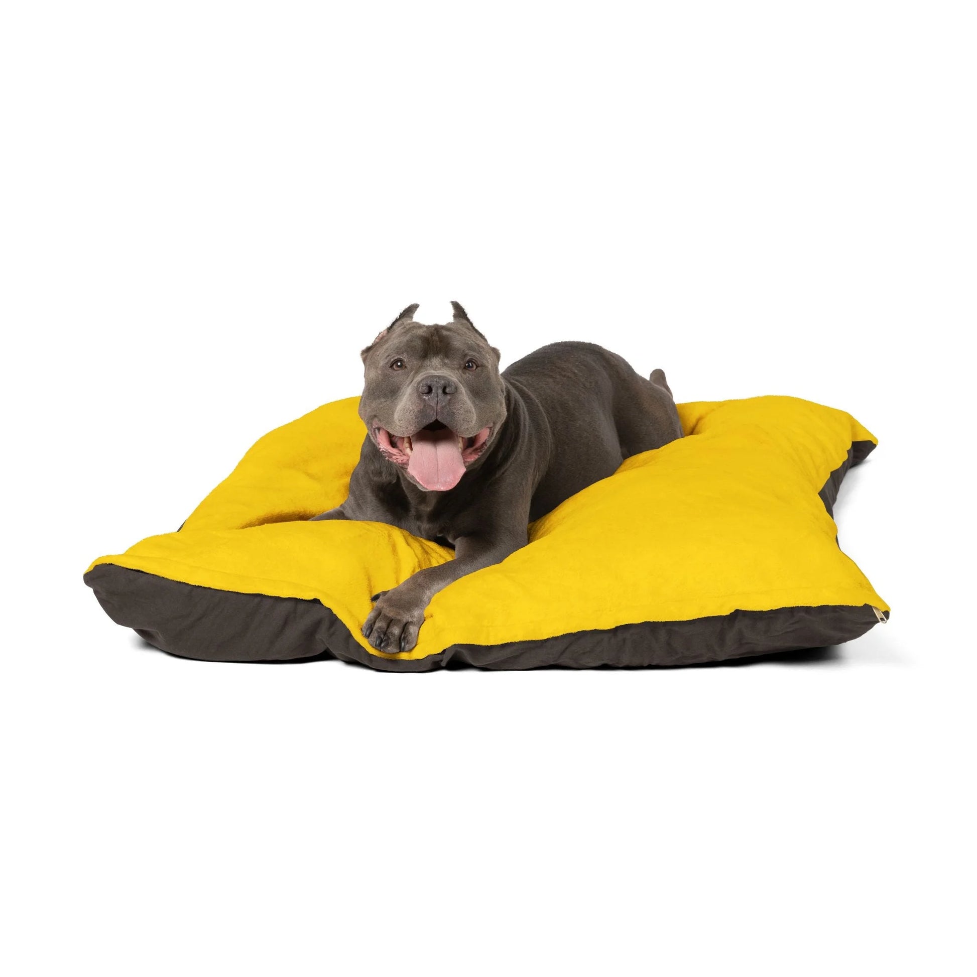 Buy The Best By Artsulli x Color Printify - Pet Bed - 2025